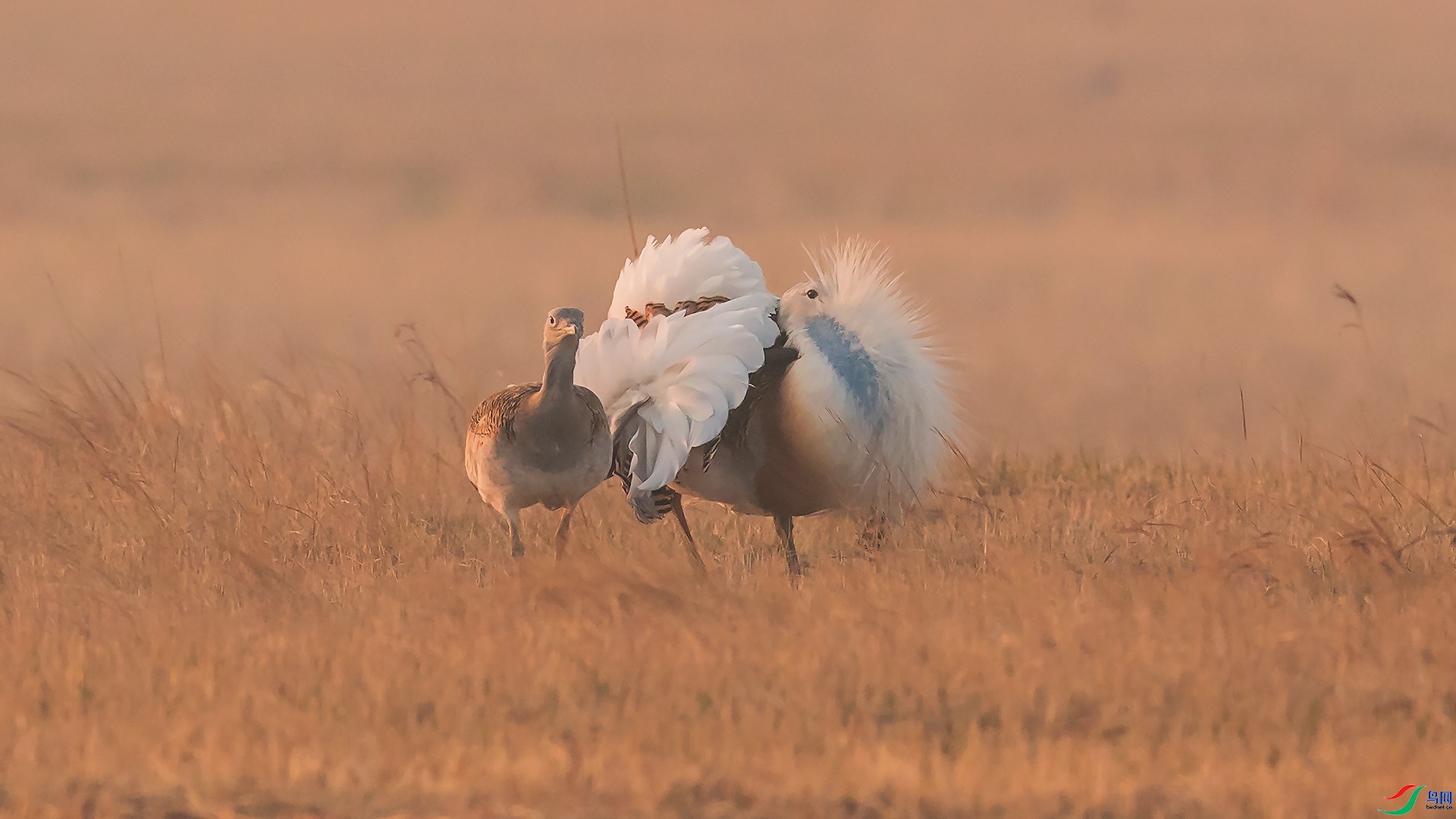 ����  ���� ɽɽɽ ����.jpg