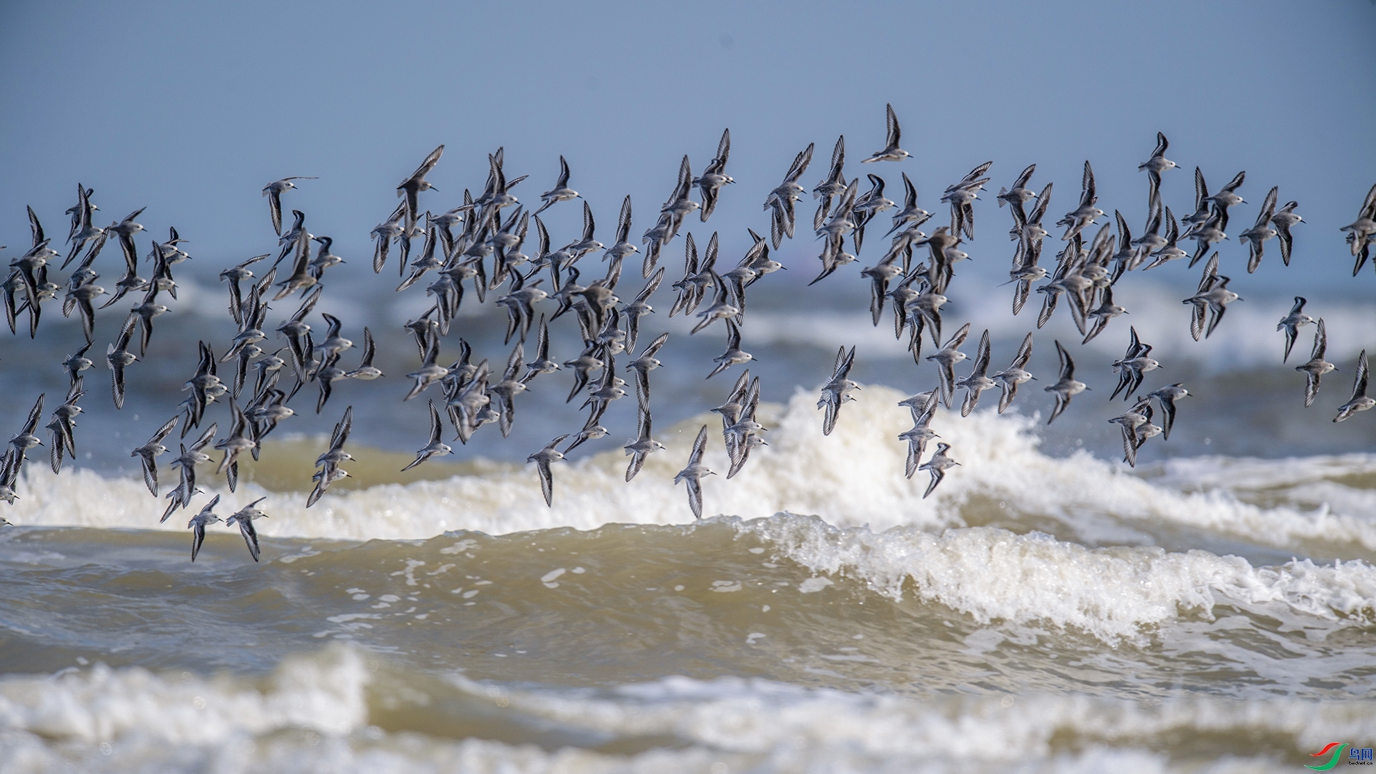 ������һ ���� ��ɽ���� ����.jpg