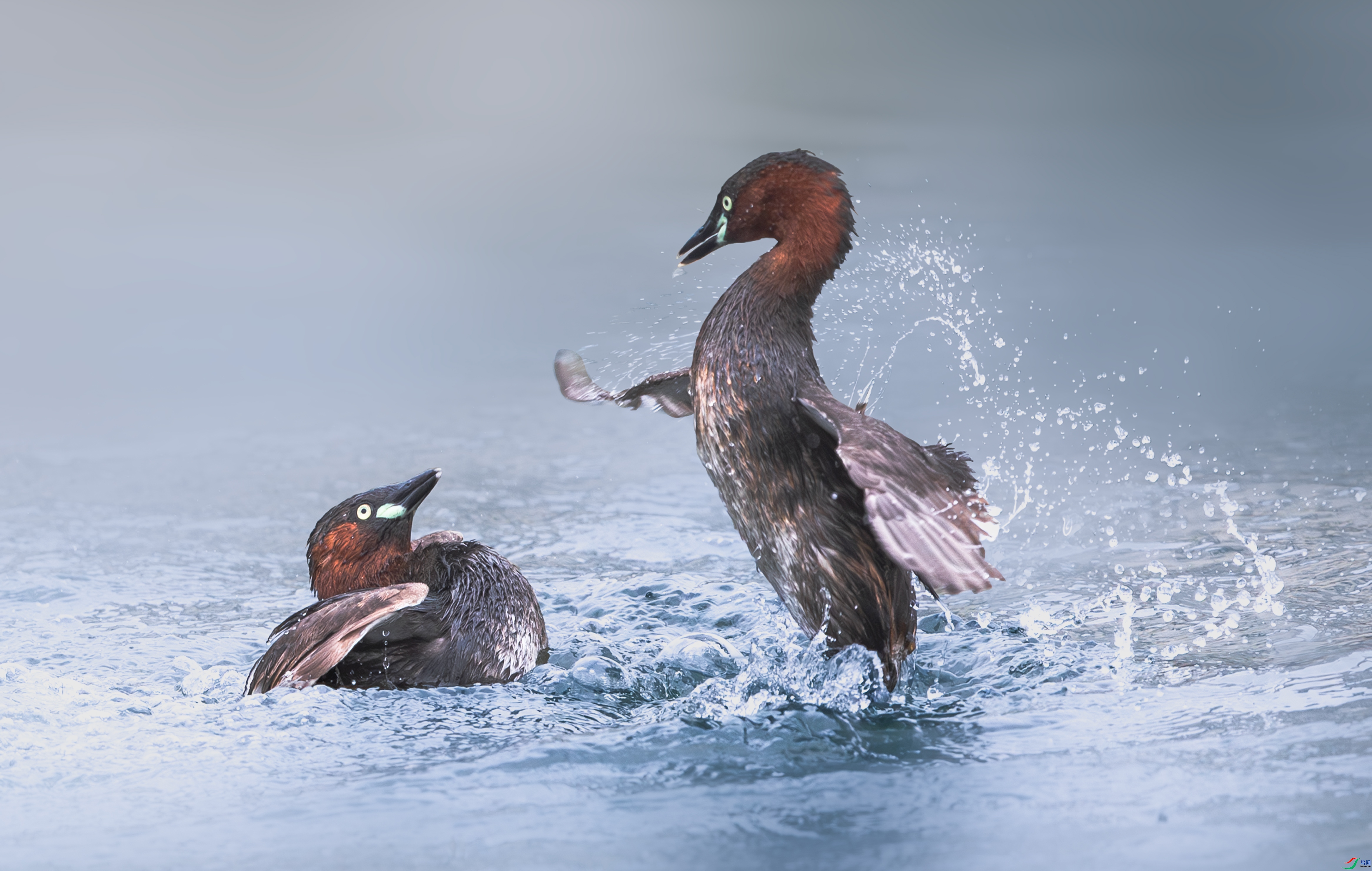 ˮ��ս�� ���� ����  ����.jpg