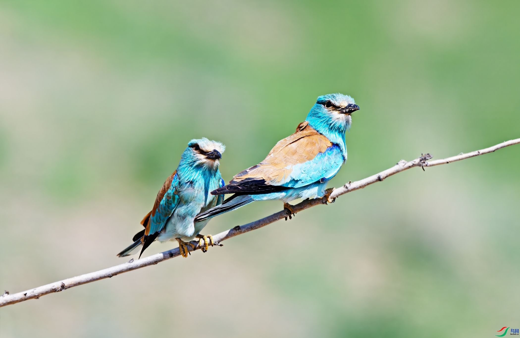 ����һ�� ���� �������� ����.jpg