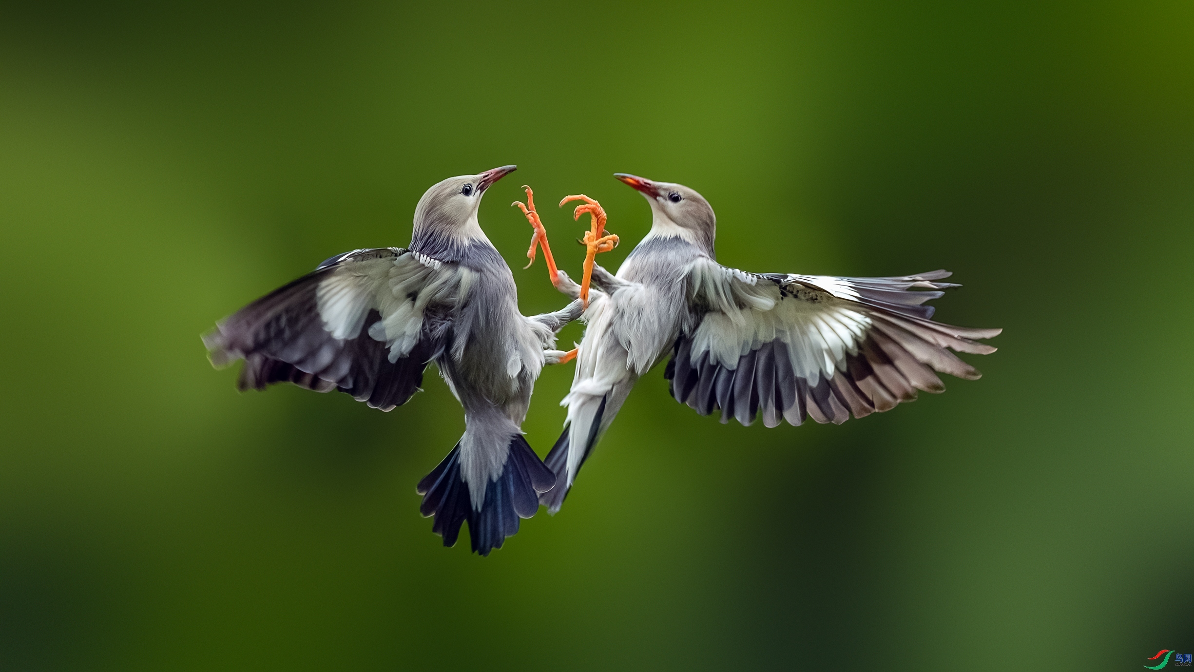 �������� ���� Hsia  ����.jpg