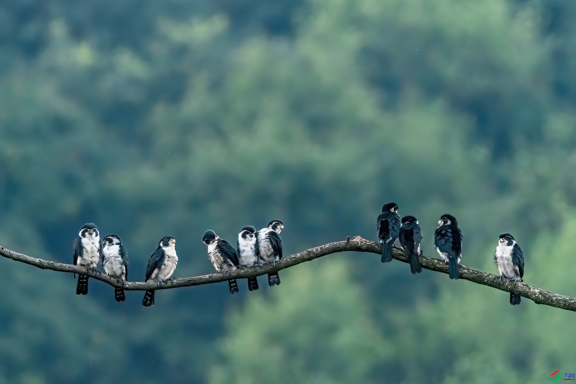 ף��λ��ʦ�����ഺ  ���� ����.jpg