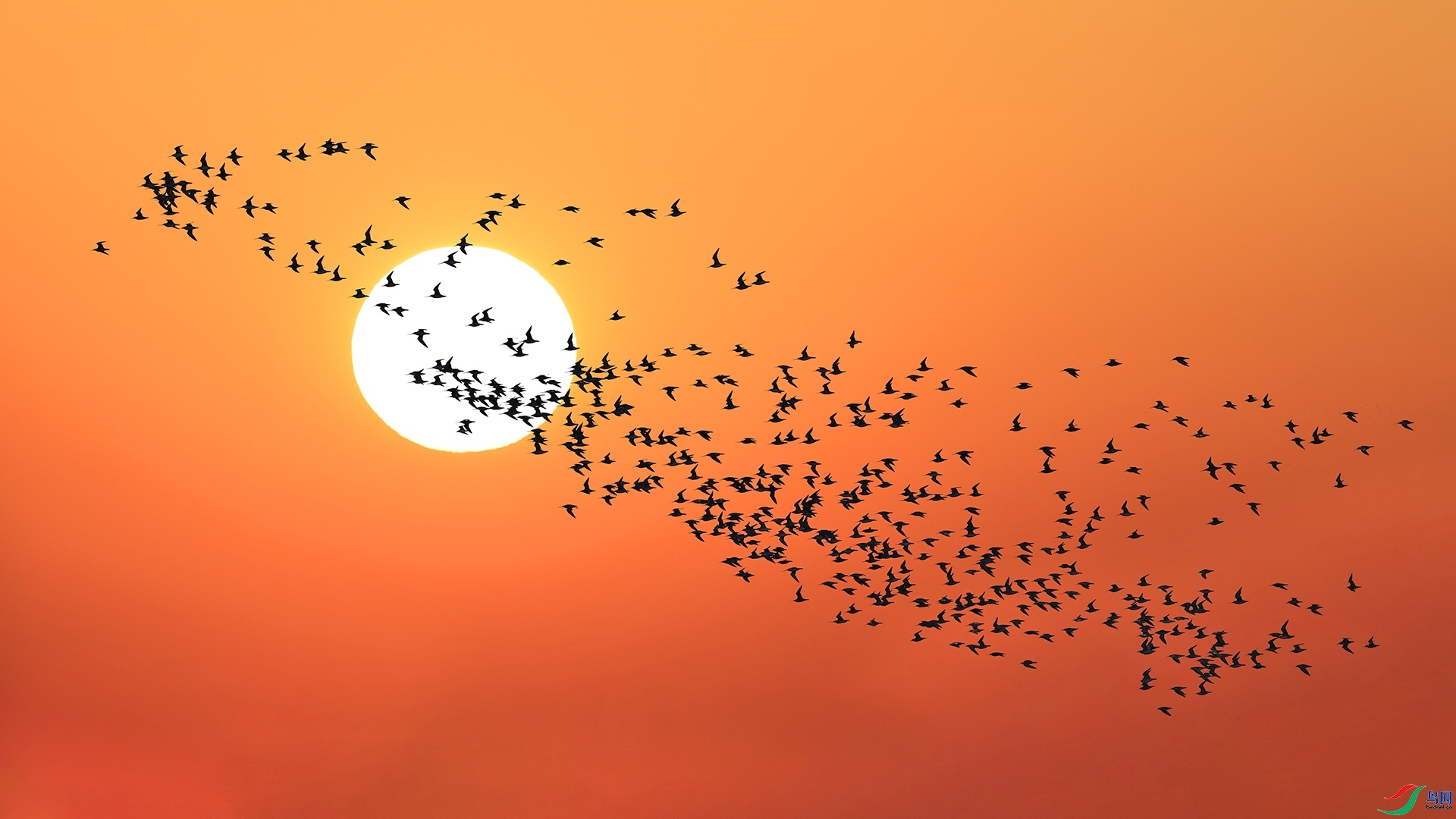 Ϧ����Ӱ ���� ������ ����.jpg