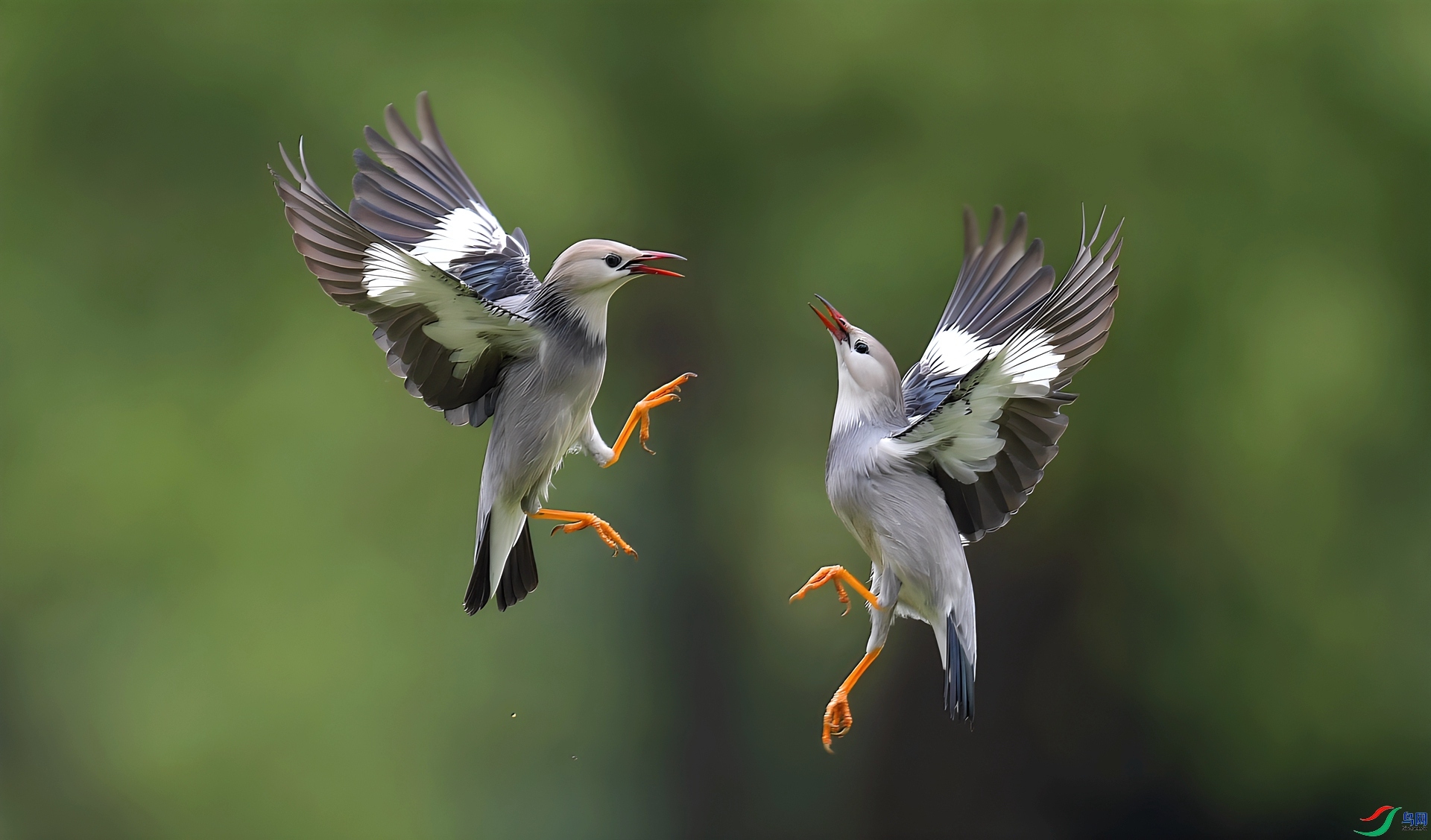 ������� ���� ����뻳 ����.jpg