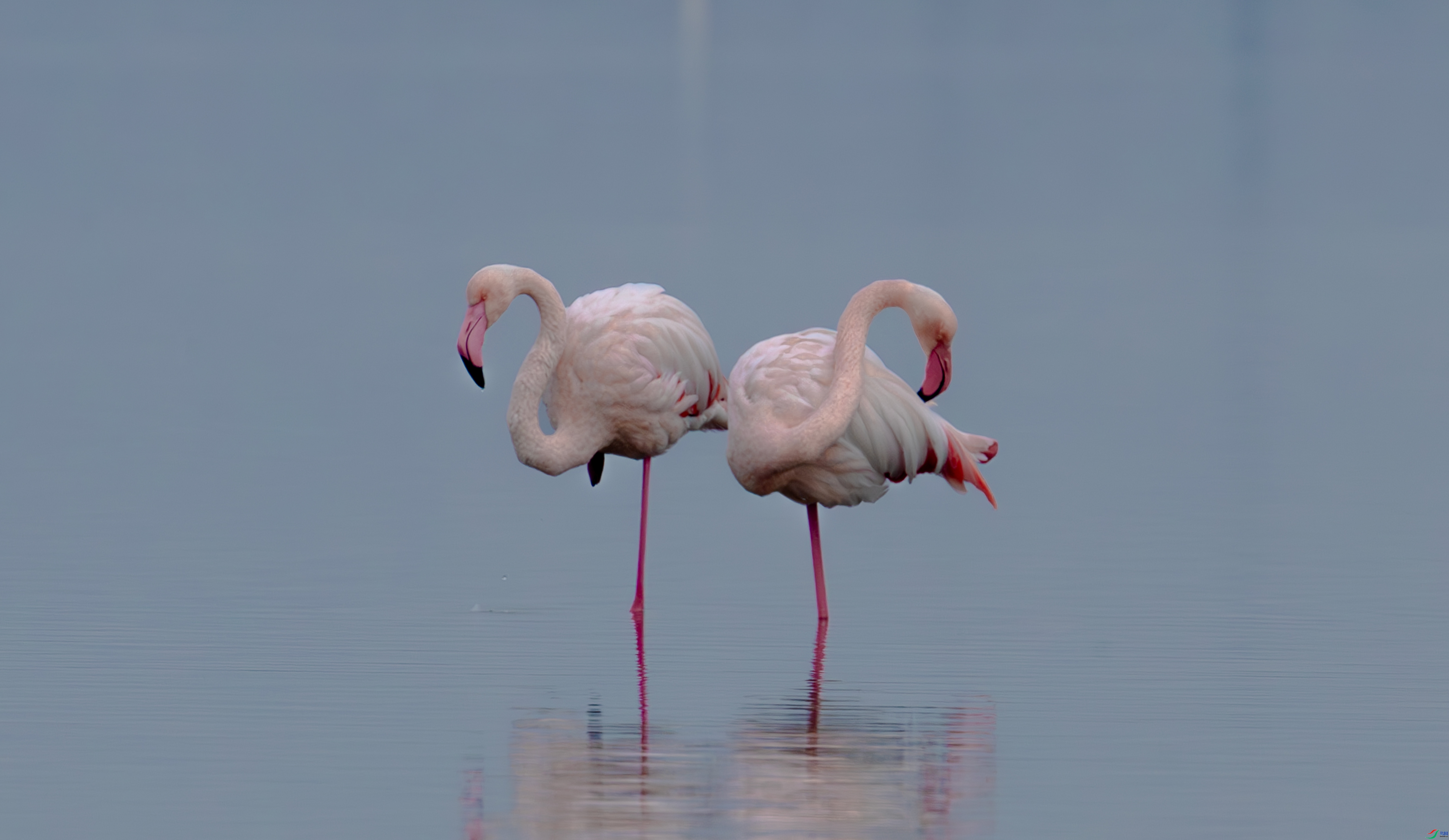 �����곤  ���� ���� ����.jpg