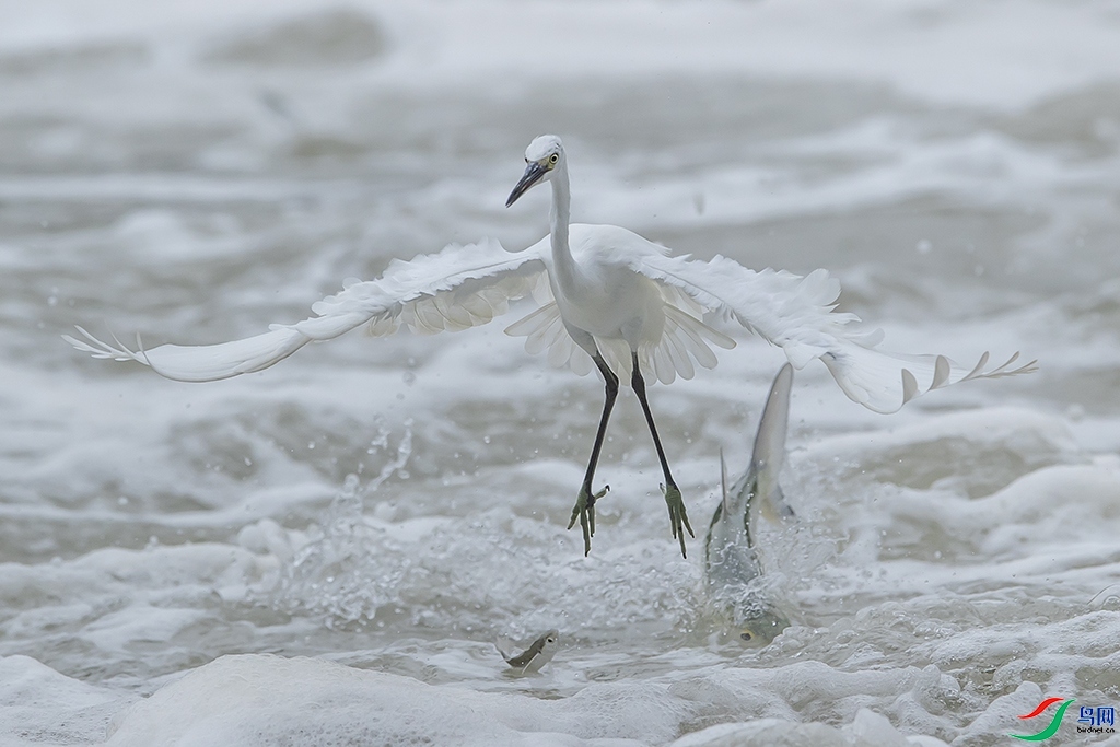 ׷�� ���� ���ַ� ����.jpg