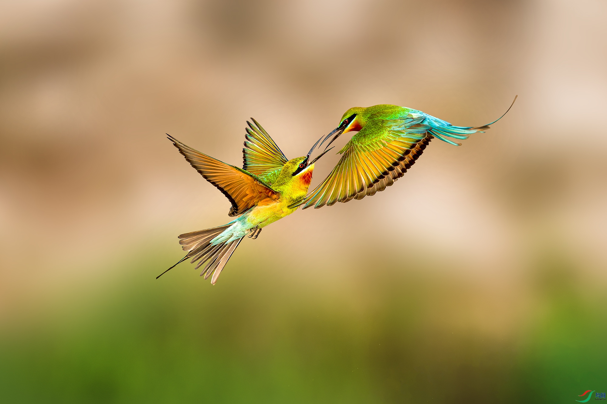 LZW01411-����ǿ-NR ����.jpg