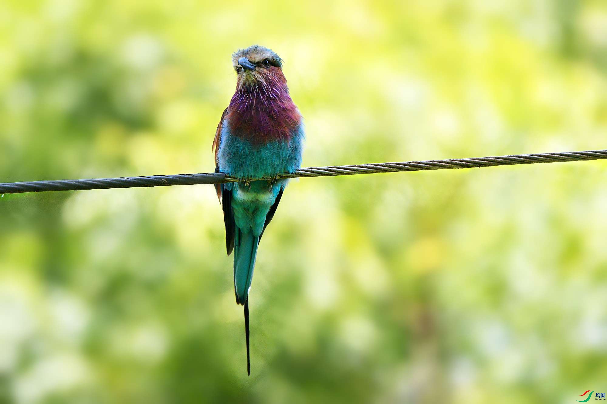 DSC_0812_.jpg