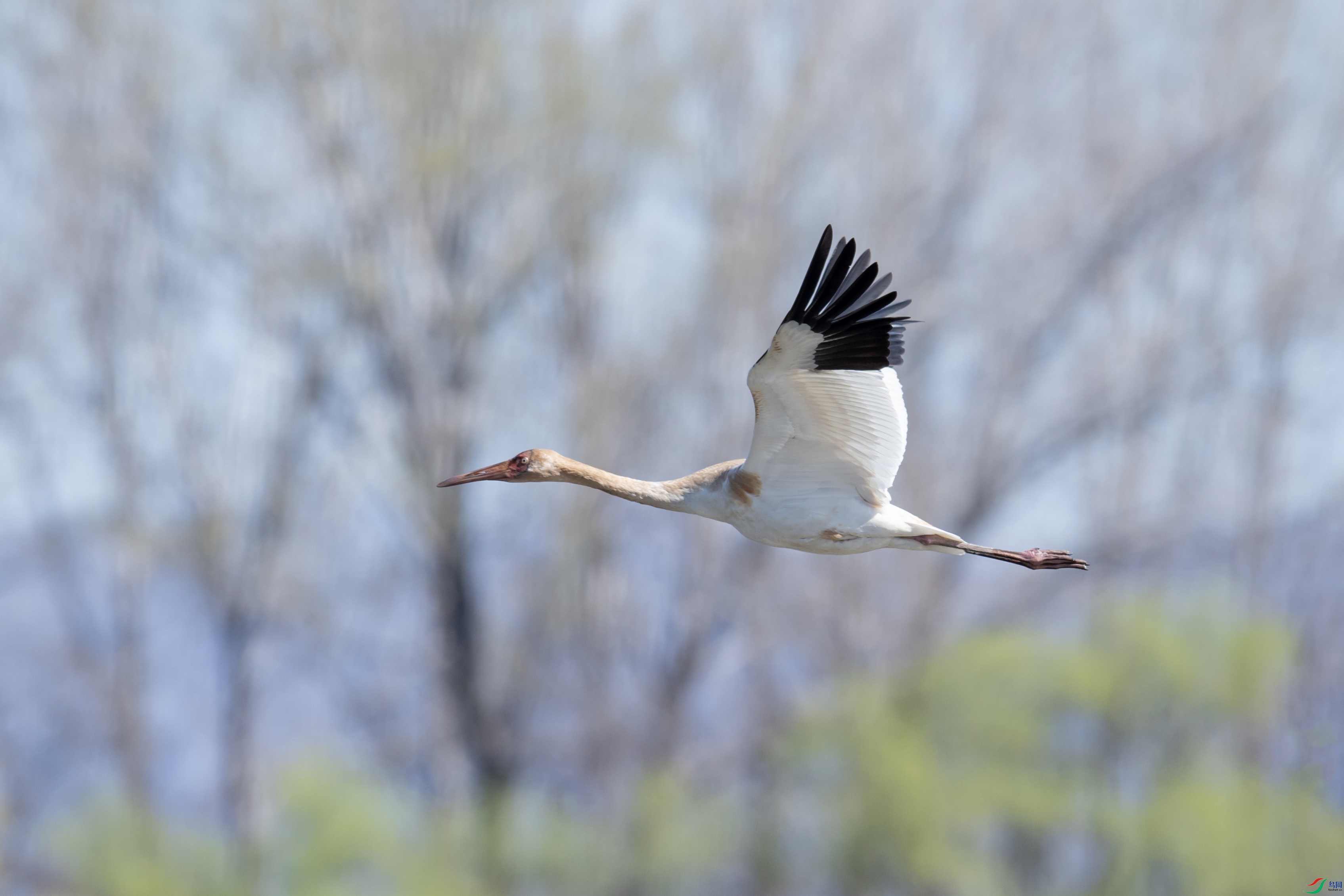 DSC_4958 ����.jpg