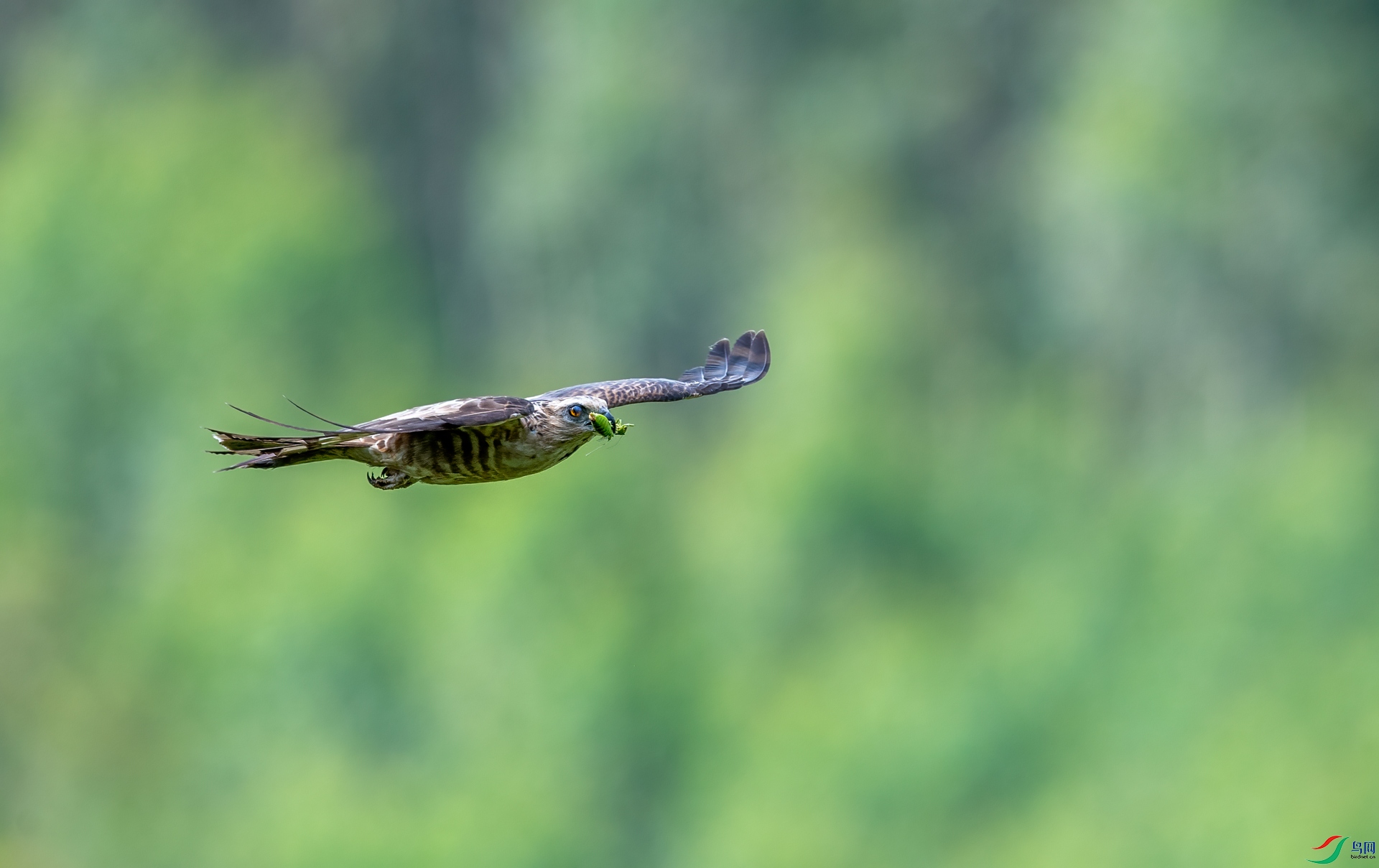DSC_3207.jpg