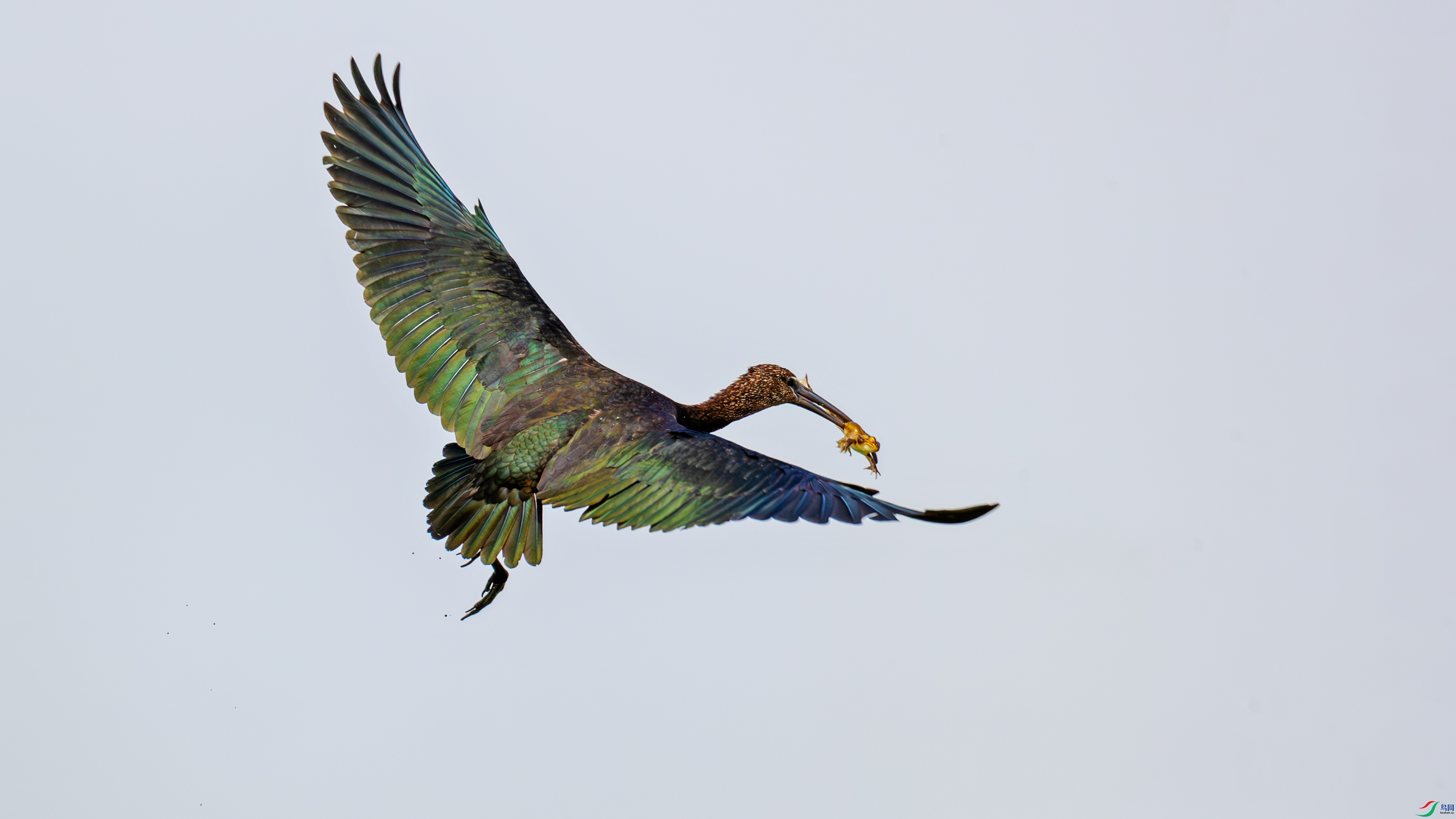 A40I8362-1��.jpg