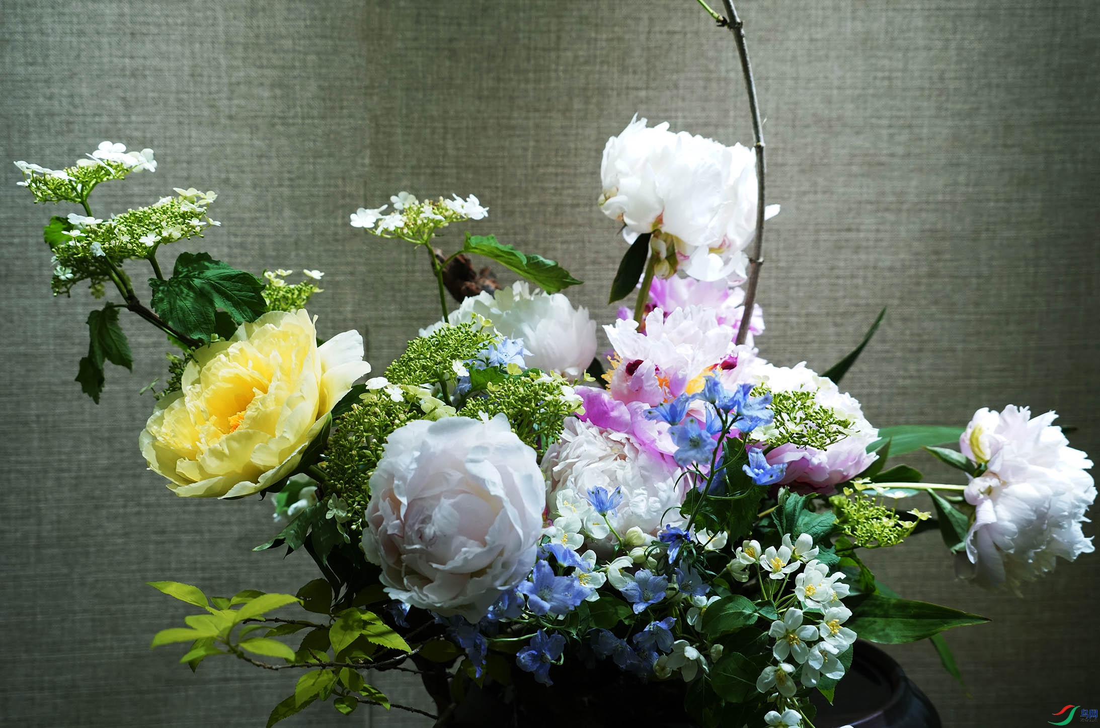 DSC01150.jpg