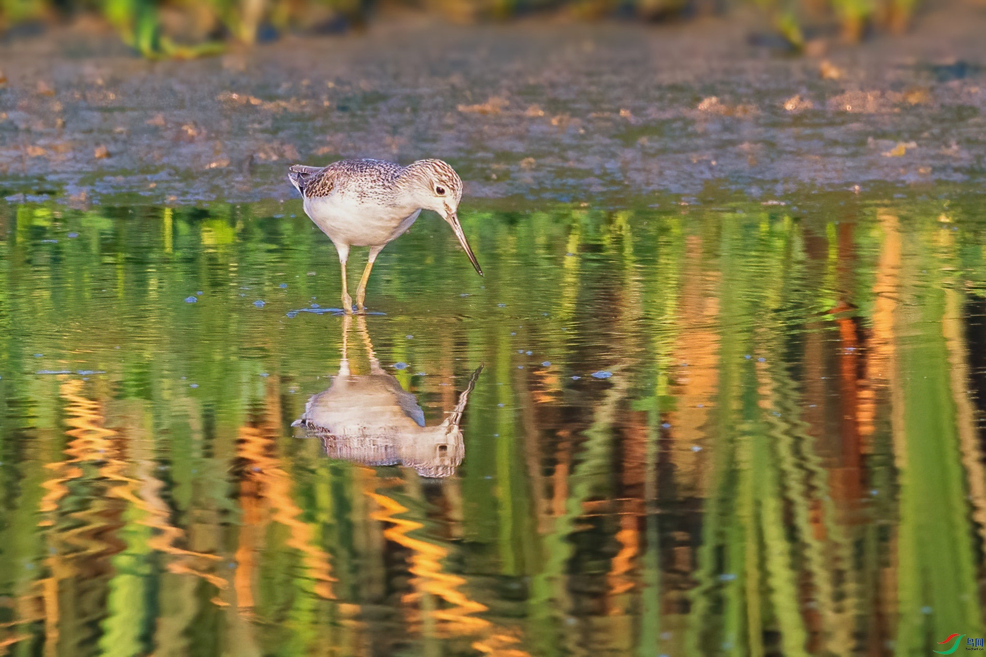 _�վ���B5A6278 (1).jpg