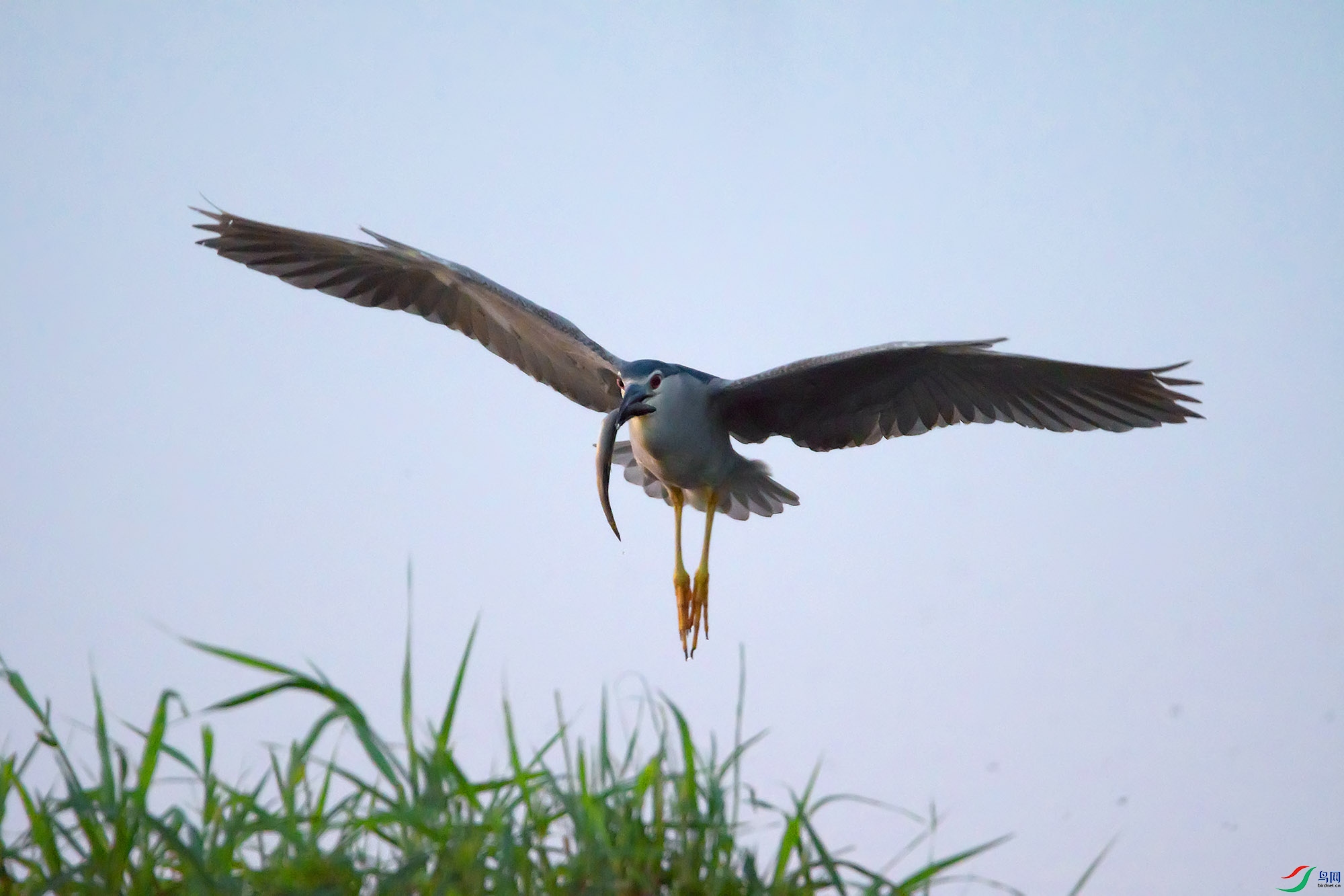 DSC_8815.jpg