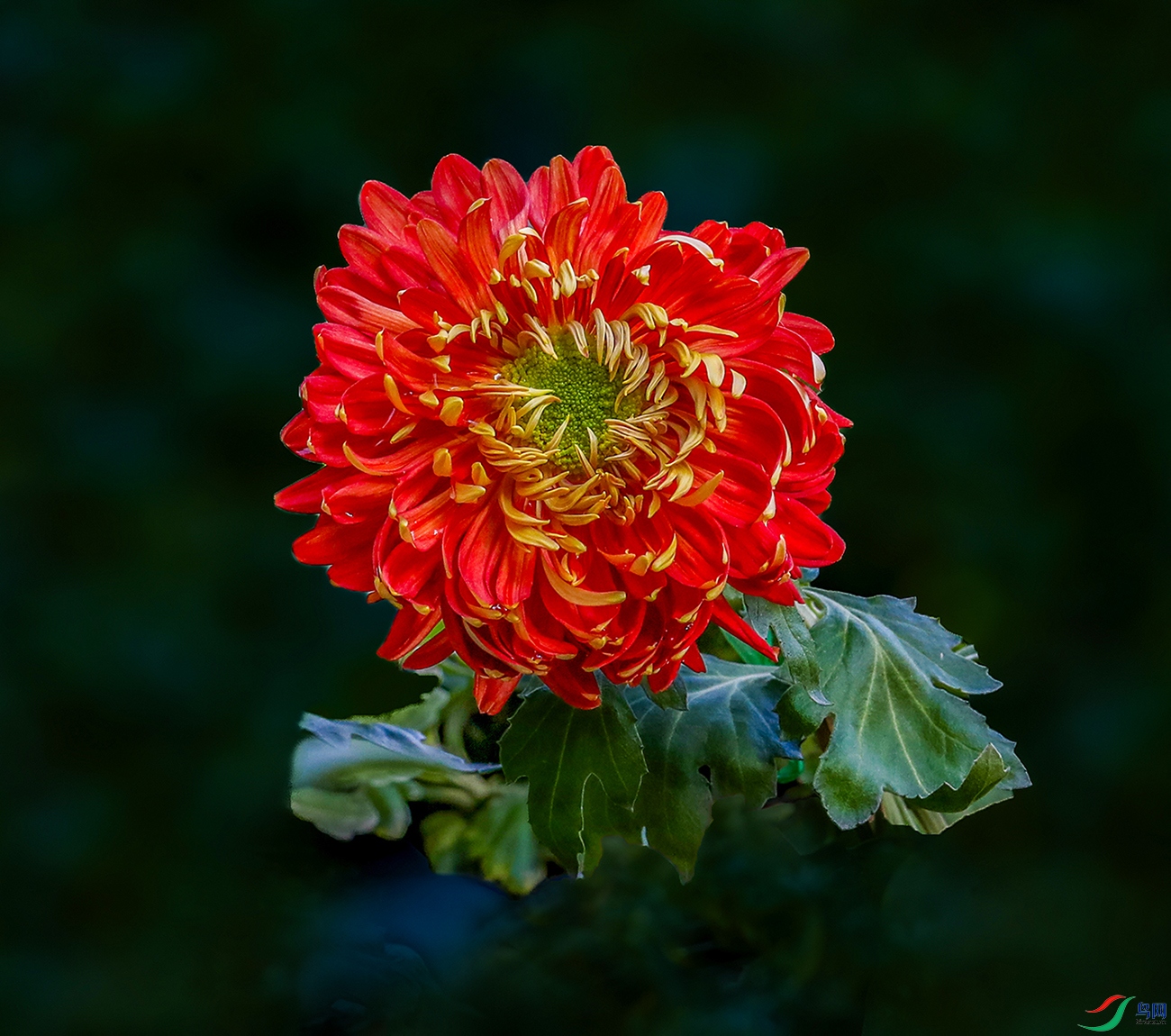 0000583A0695 ��������1000k.jpg