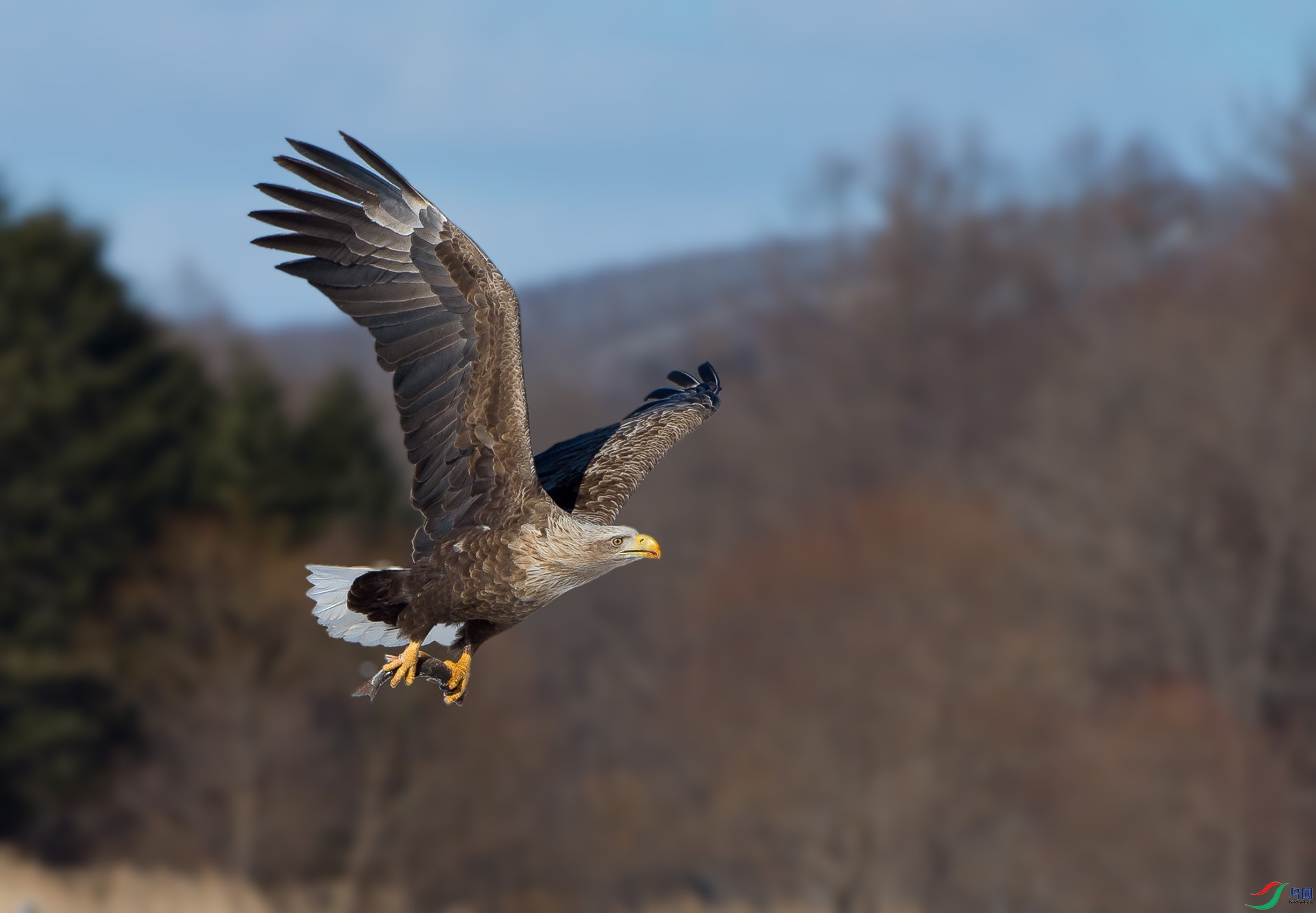 ��DSC_0151.jpg