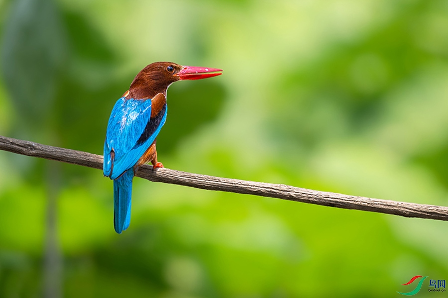 0R5A0869 ����.jpg