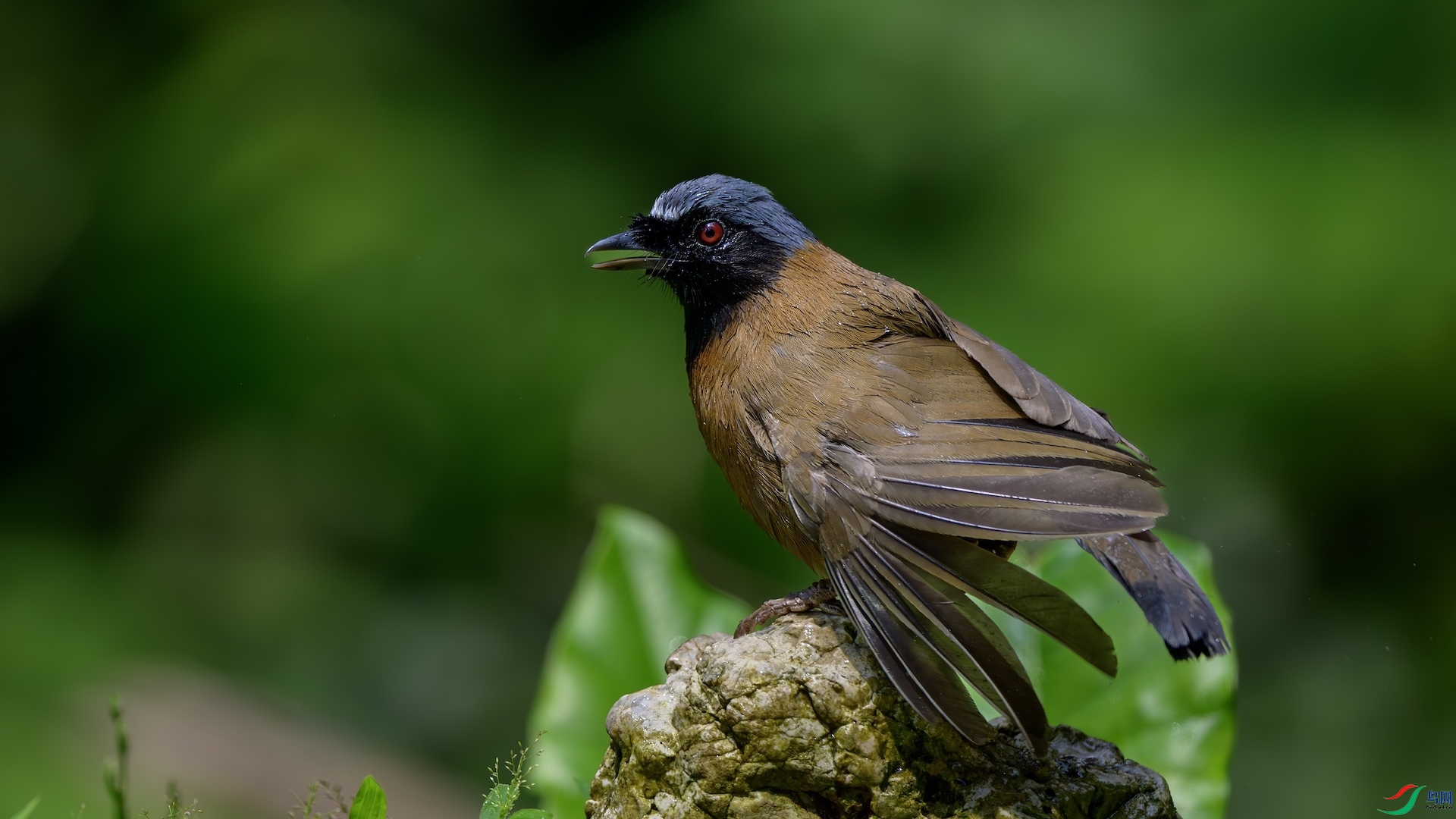 3_XXL2319-����ǿ-NR ����.jpeg