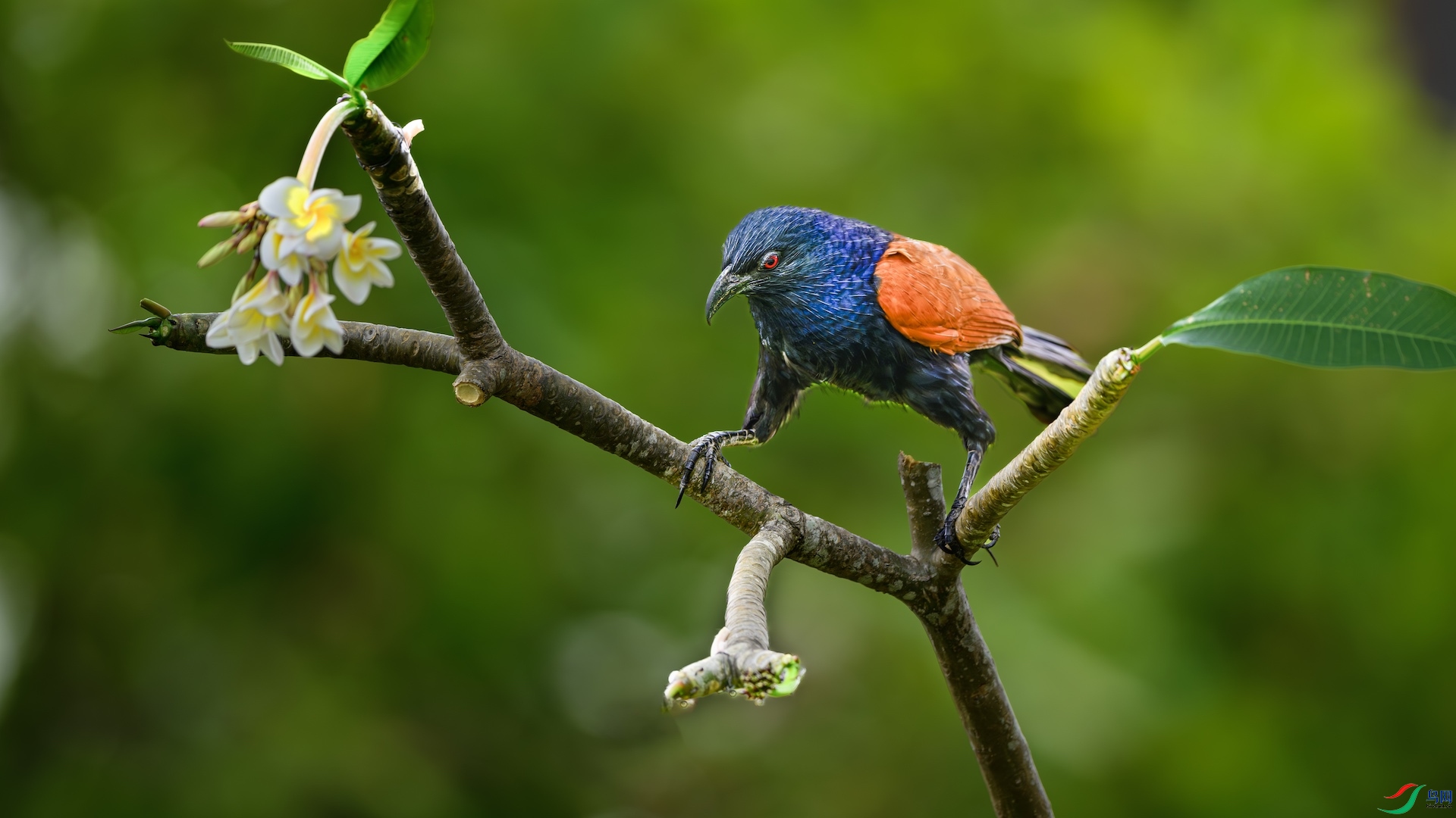 3_XXL2779-����ǿ-NR ����.jpeg