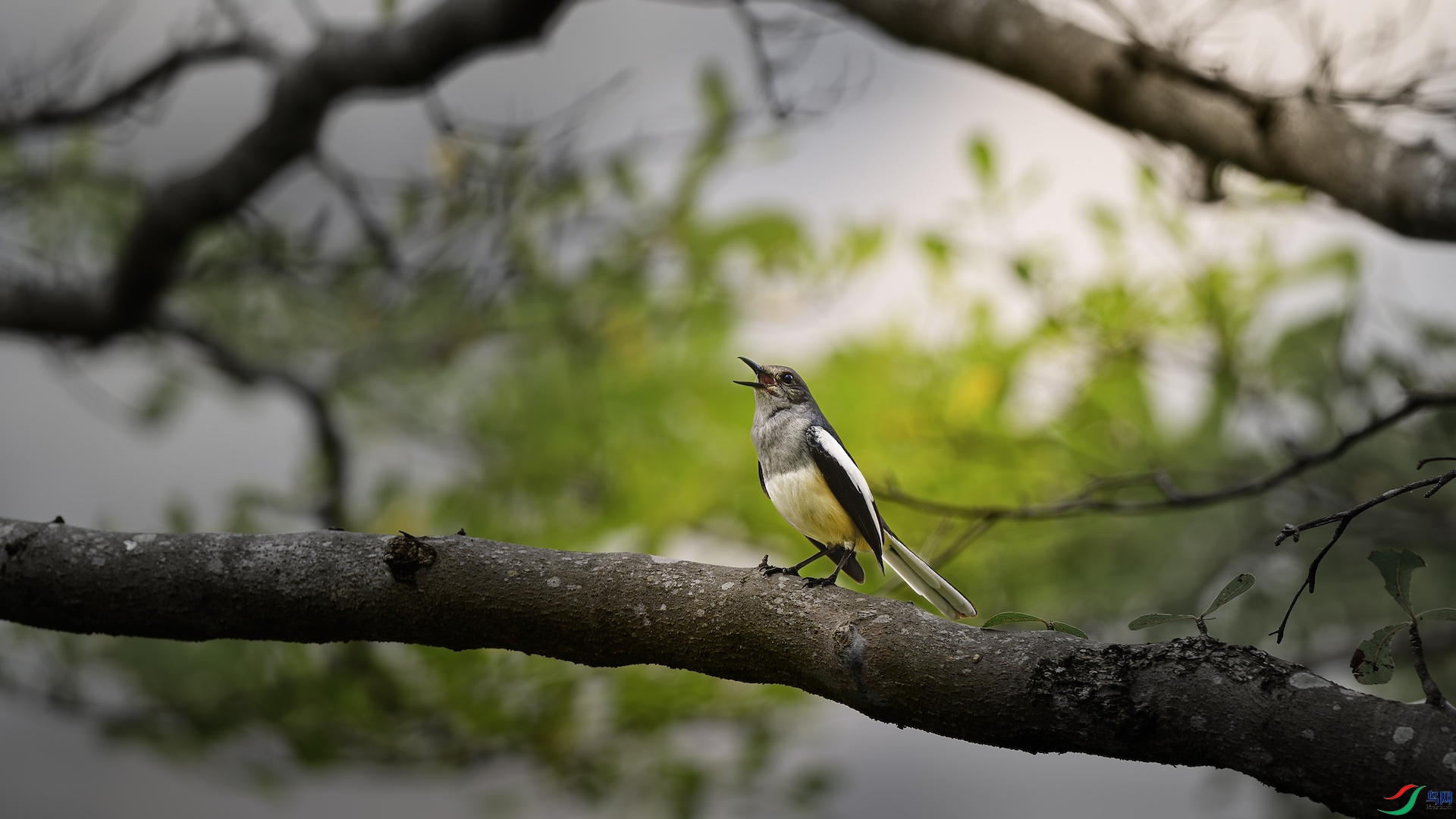 3_XXL3144-����ǿ-NR ������������.jpeg