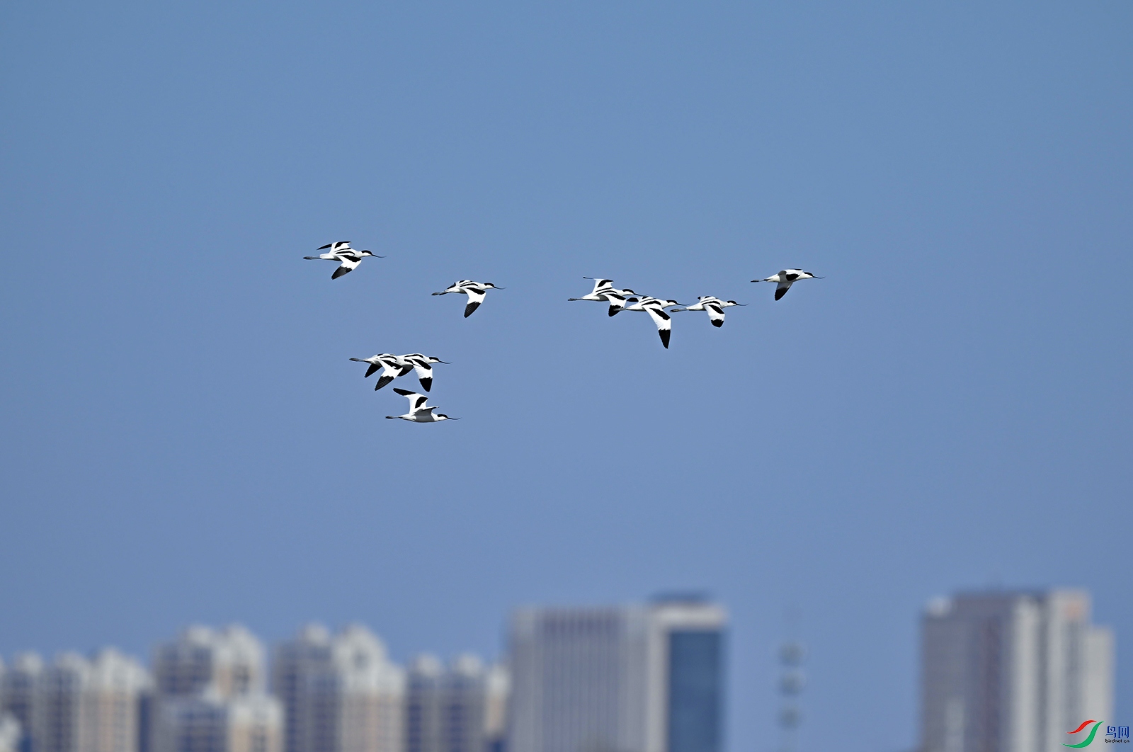 _DSC0145f.jpg