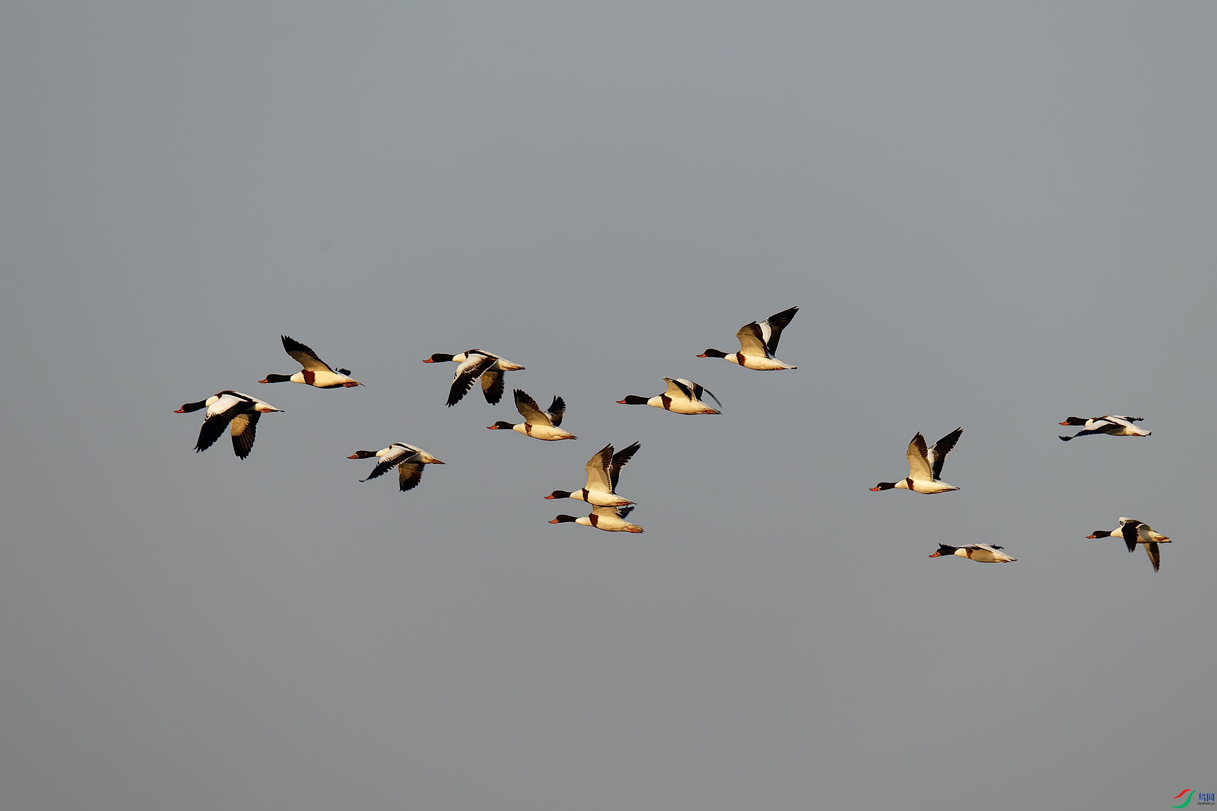 _A4I0657_DxO ����.jpg