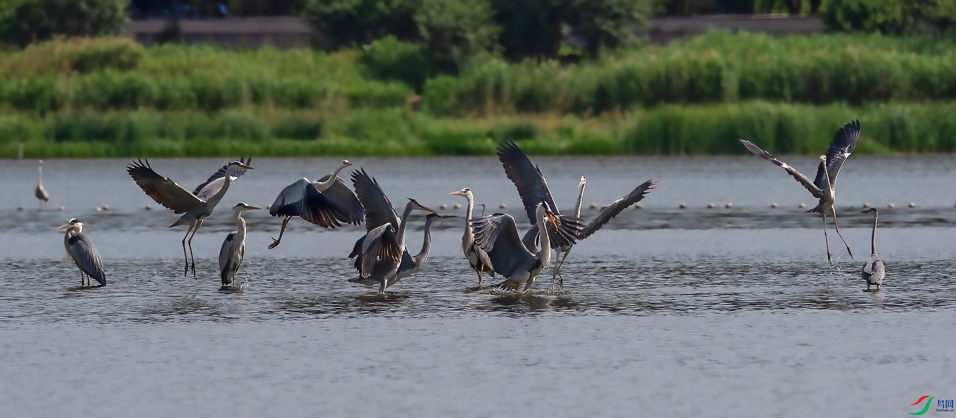 DSC_9395.jpg