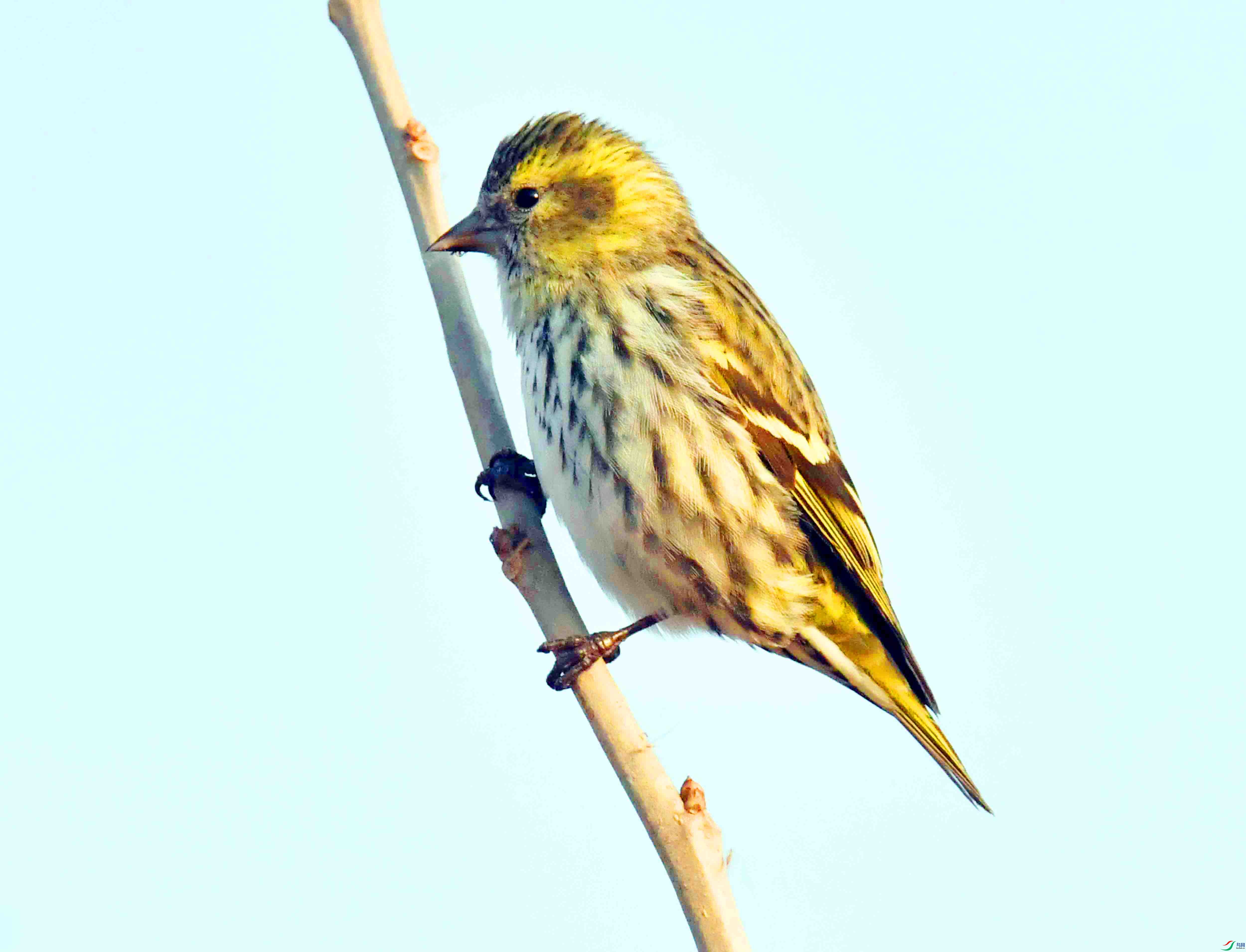 DSC_1107.JPG