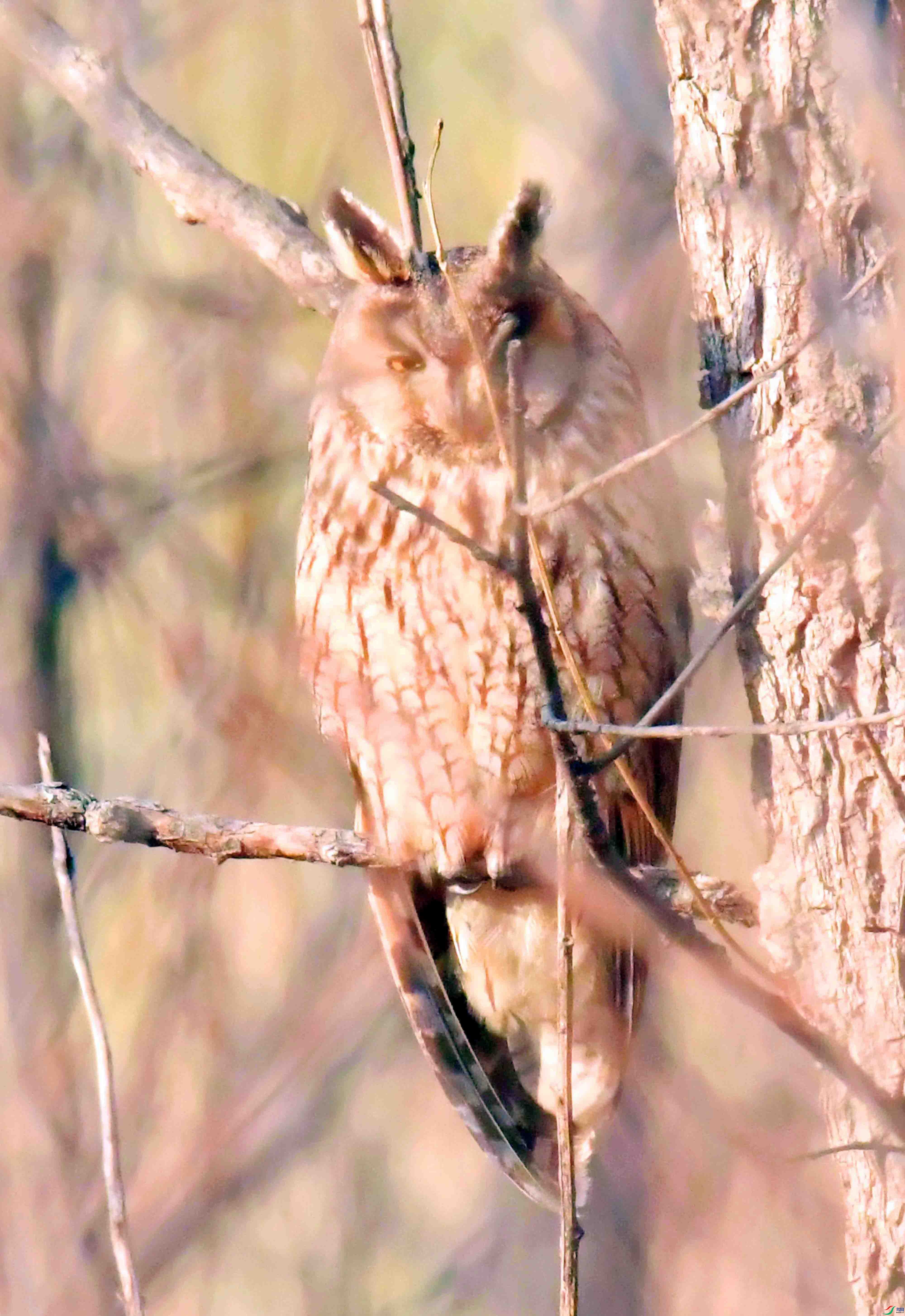 DSC_4892.JPG