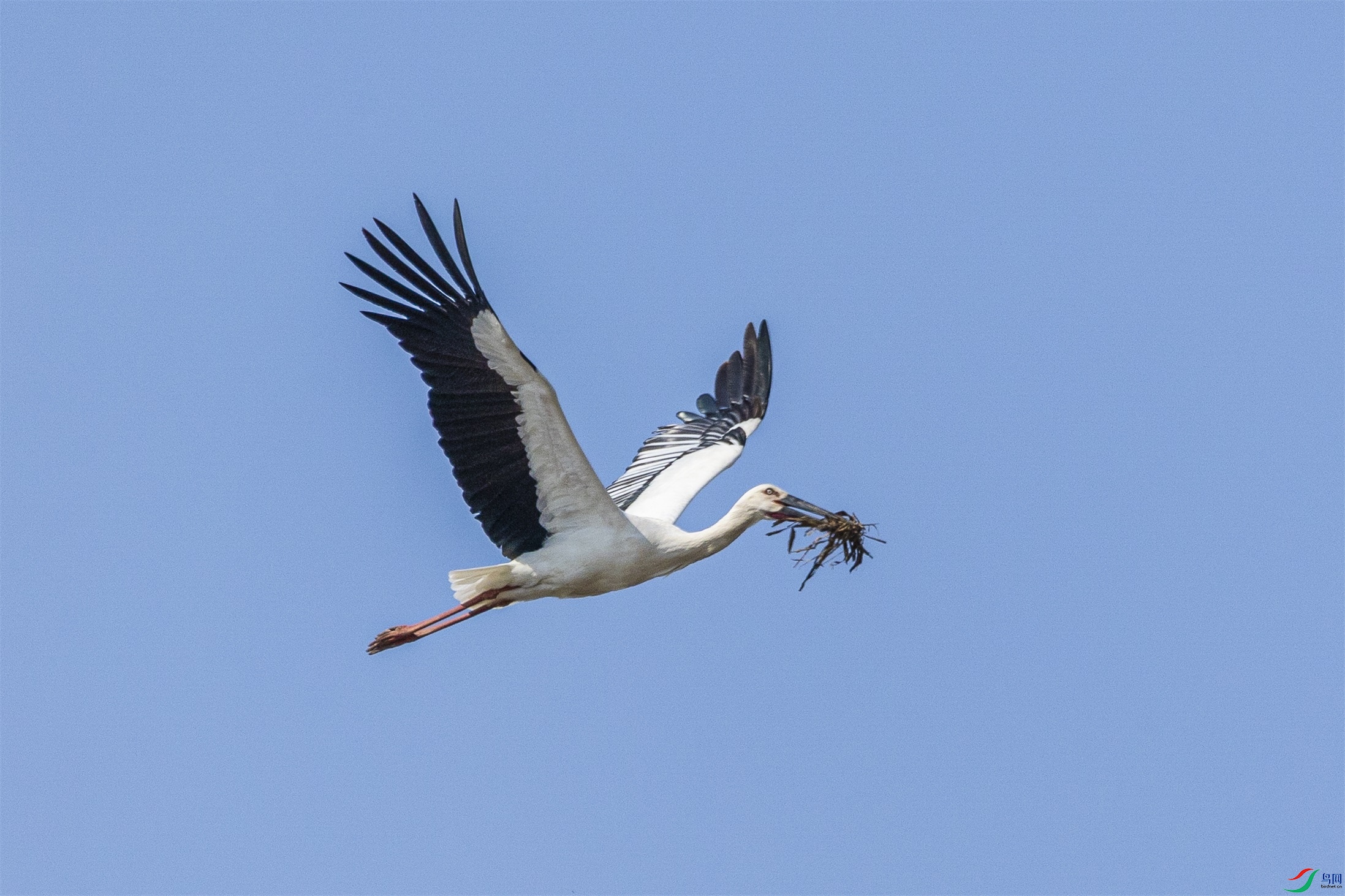 1K3A0875 ����1.jpg