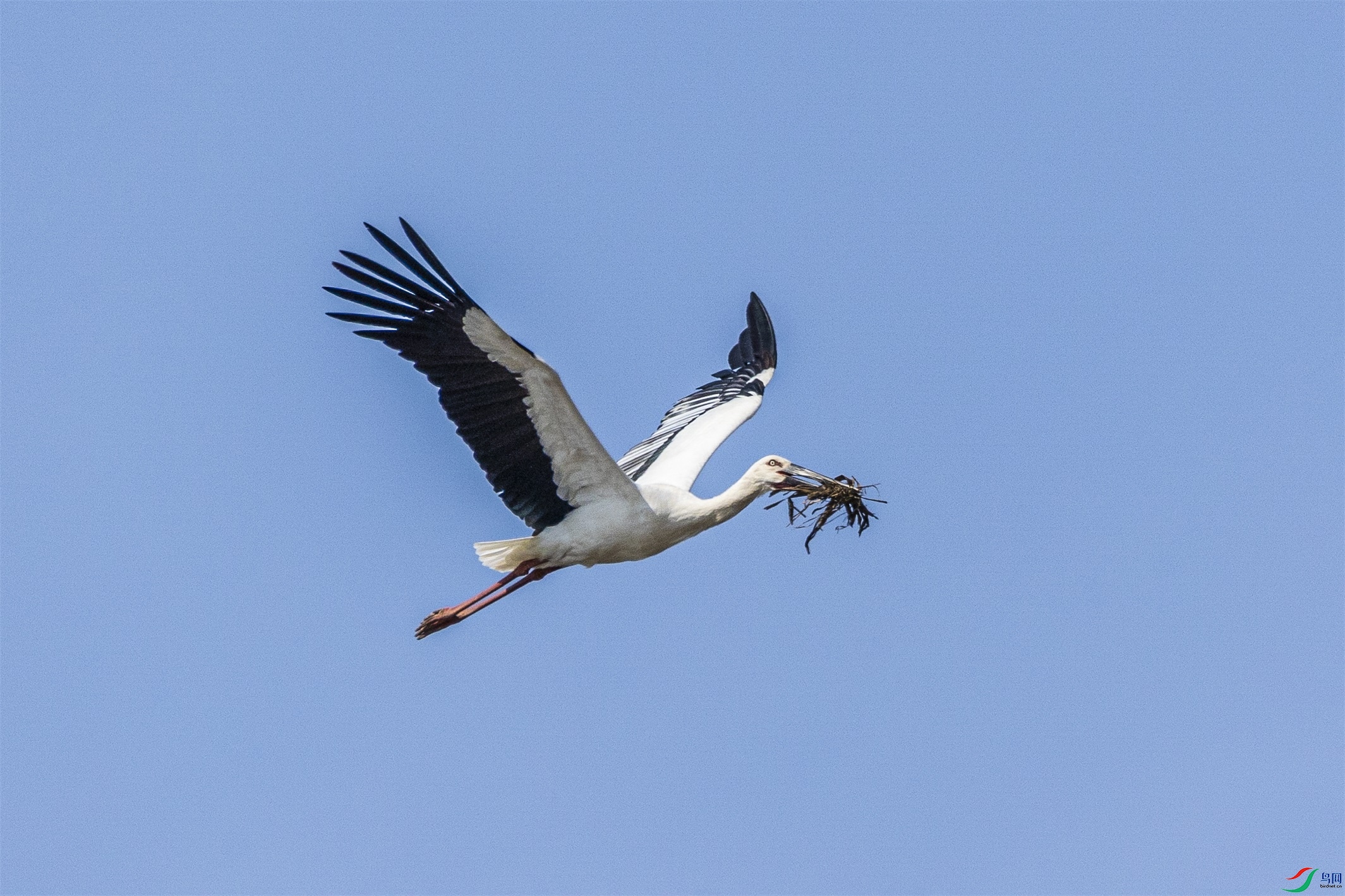 1K3A0880 ����1.jpg