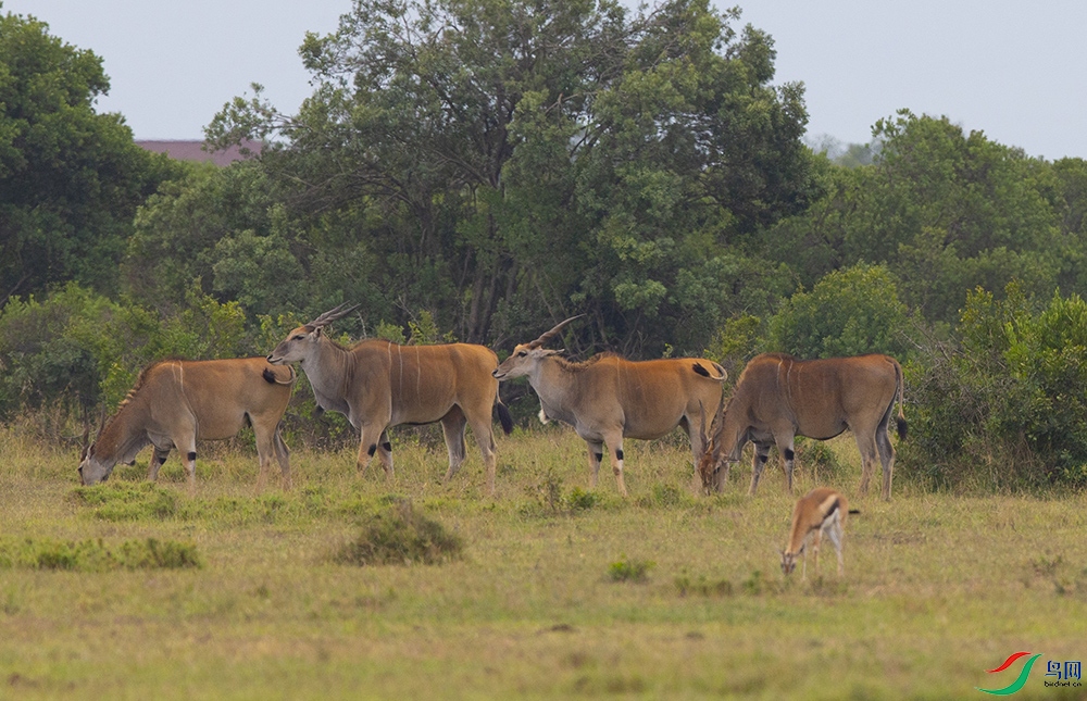 ��ǰ��� (4).jpg