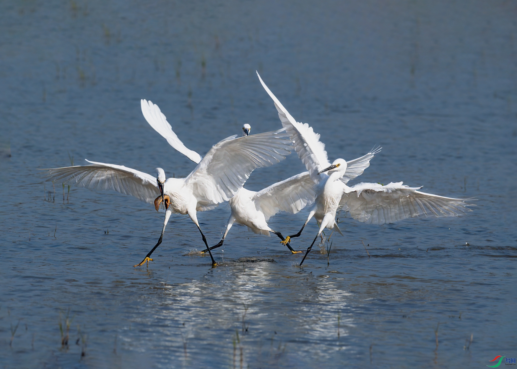 DSC_5542.jpg