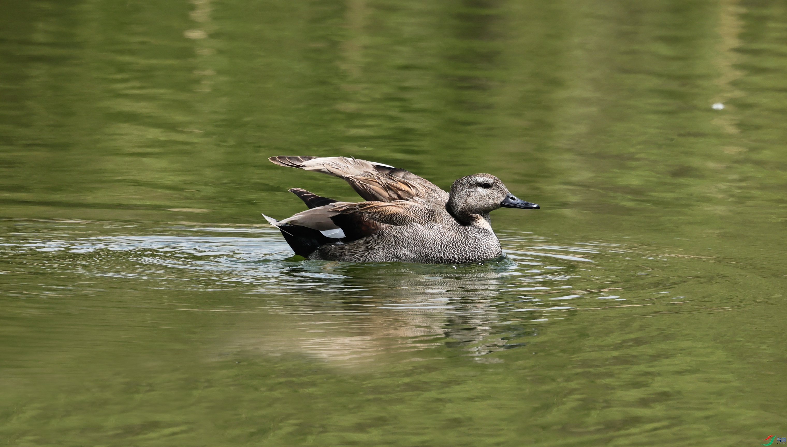 7X5A0402 ����000.jpg