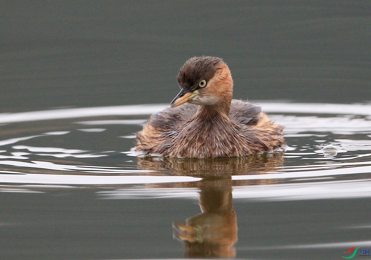 ���� IMGL1891.JPG