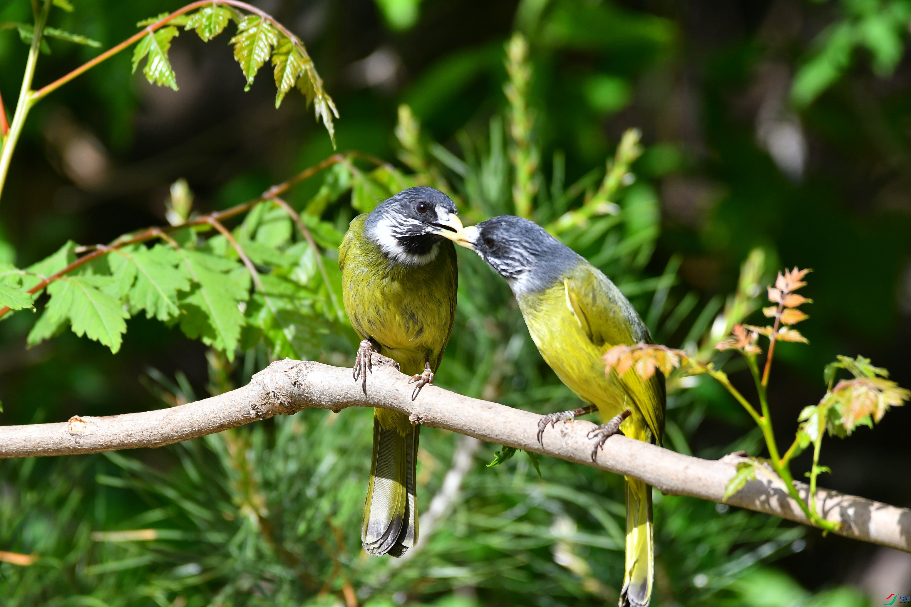 DSC_1172.JPG