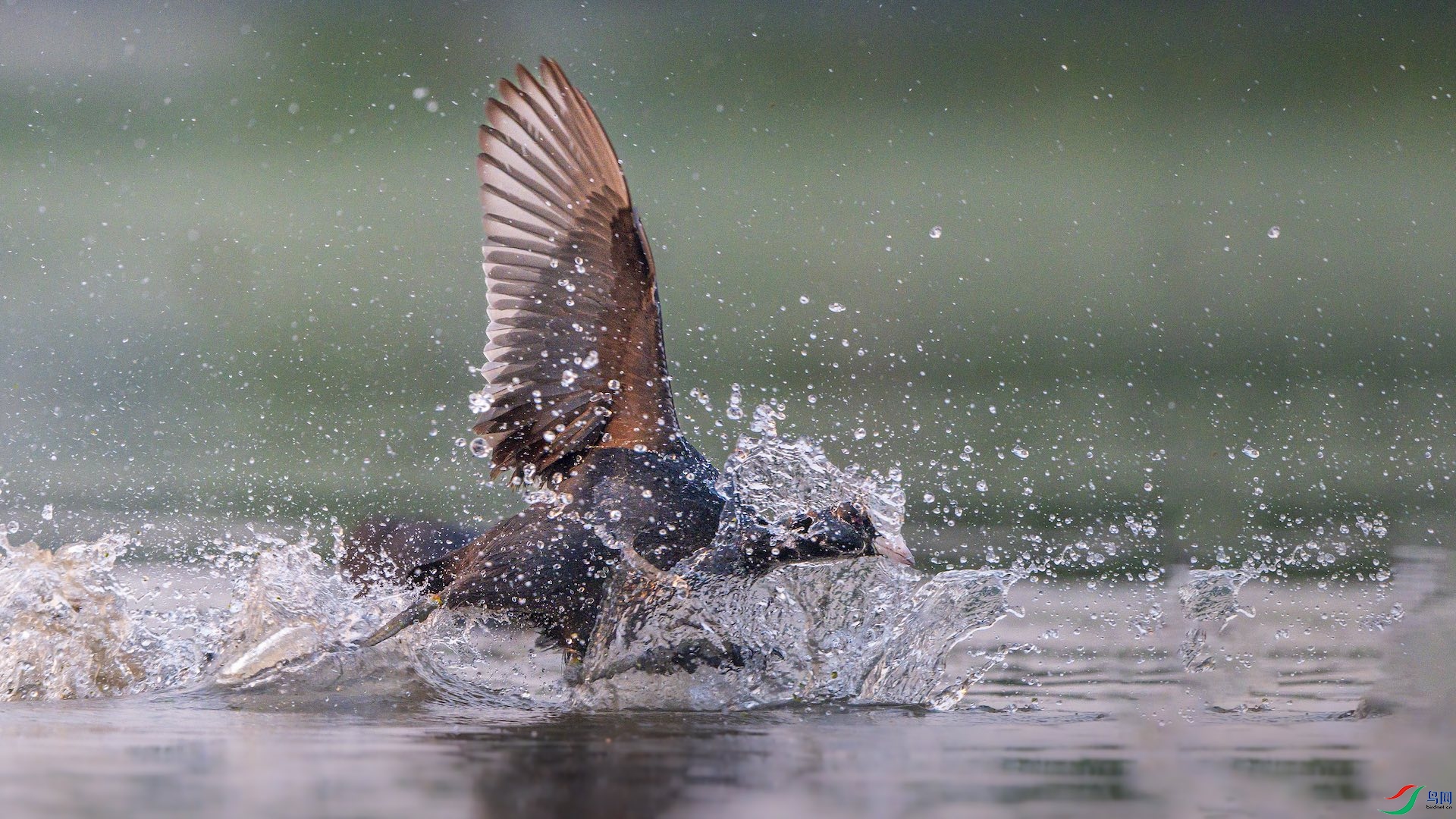 2_XXL7024 ����.jpeg