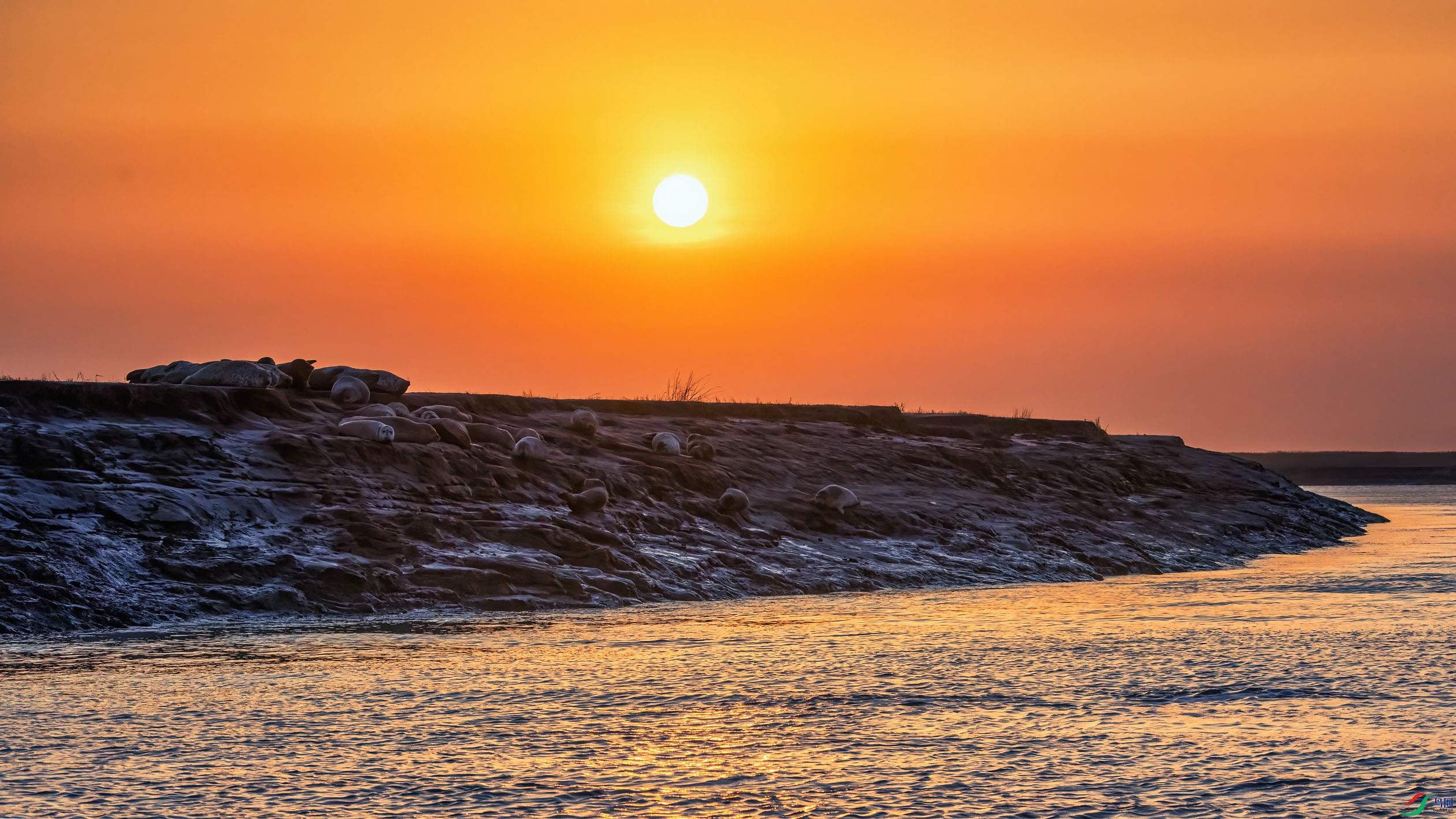 ����Ϧ���µİߺ���X7A9286 (1)_1.jpg