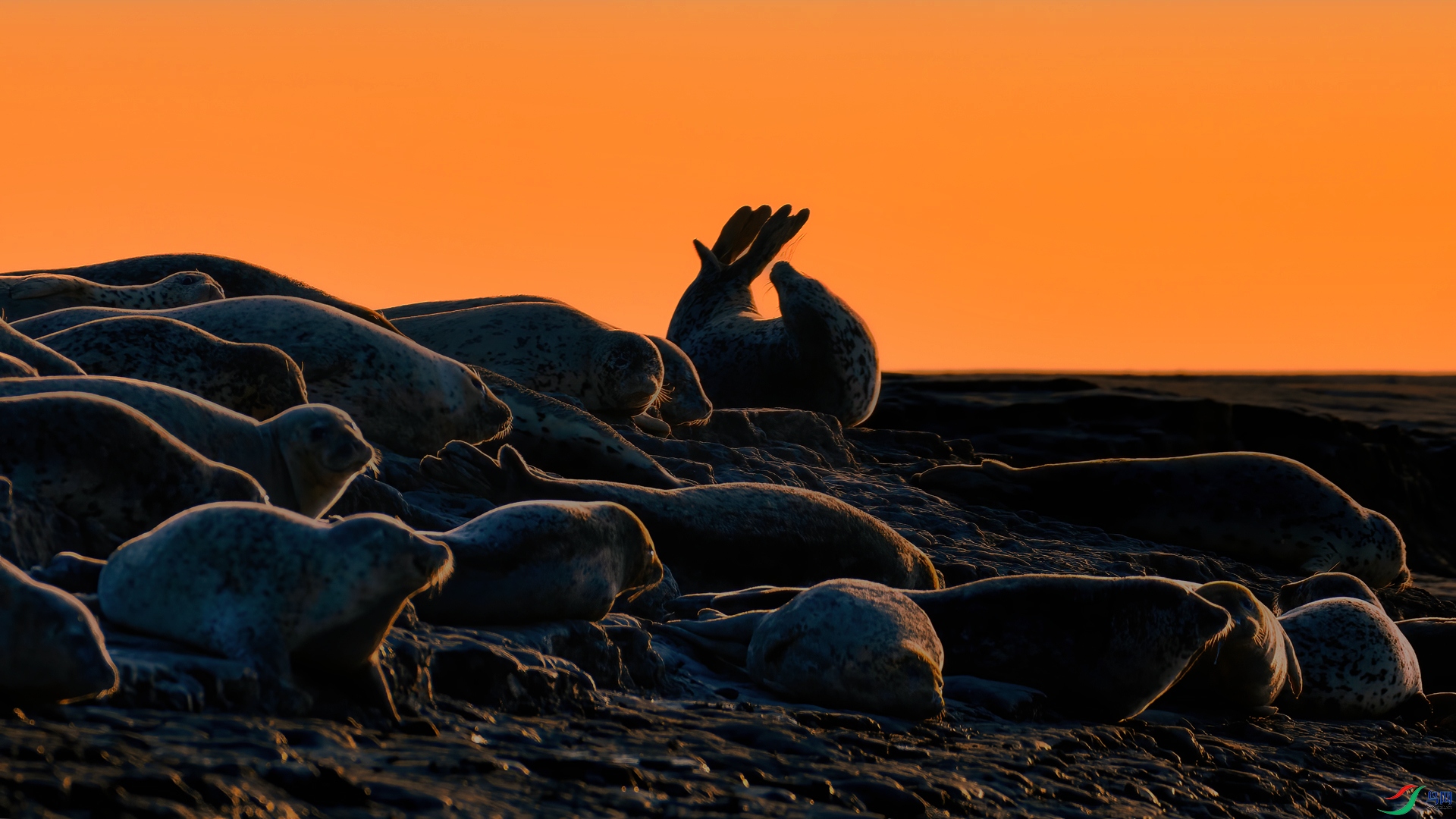 �����µ����ҷ���0B5A5094 (1).jpg