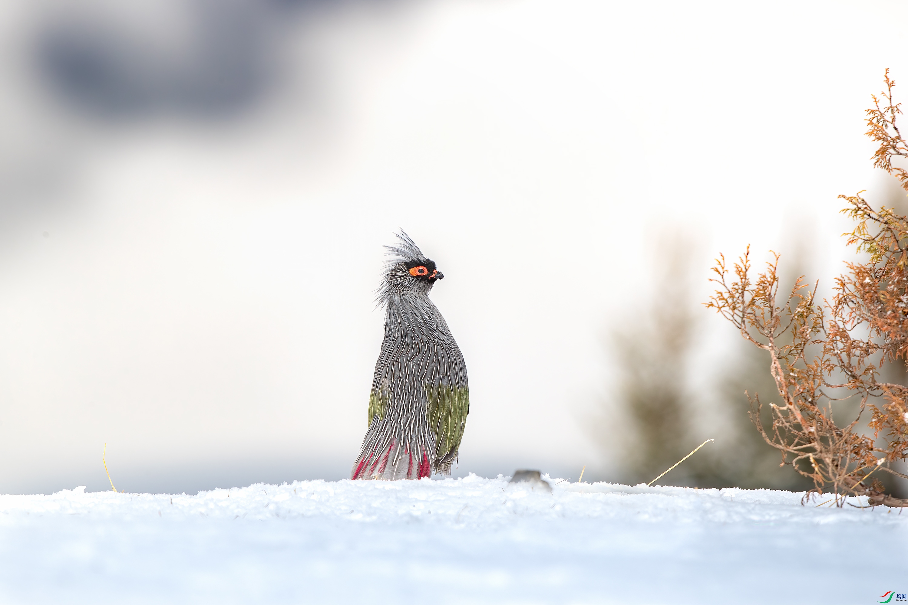 AY8I0647 ����.jpg