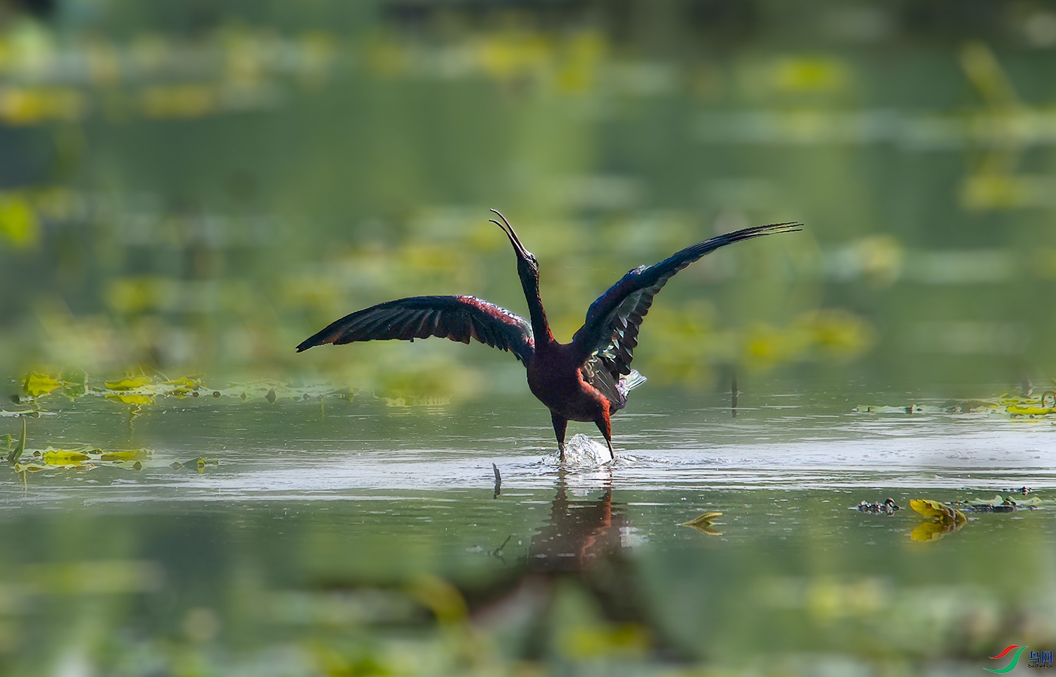 С ���� 2.jpg