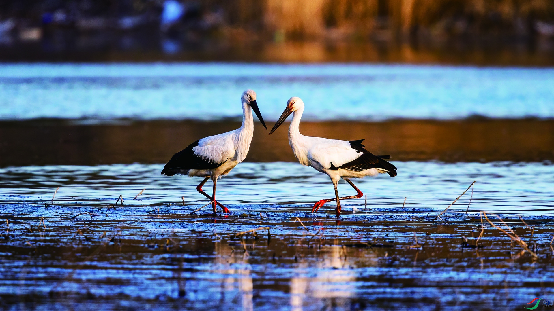 IMGL6511 ����.jpg