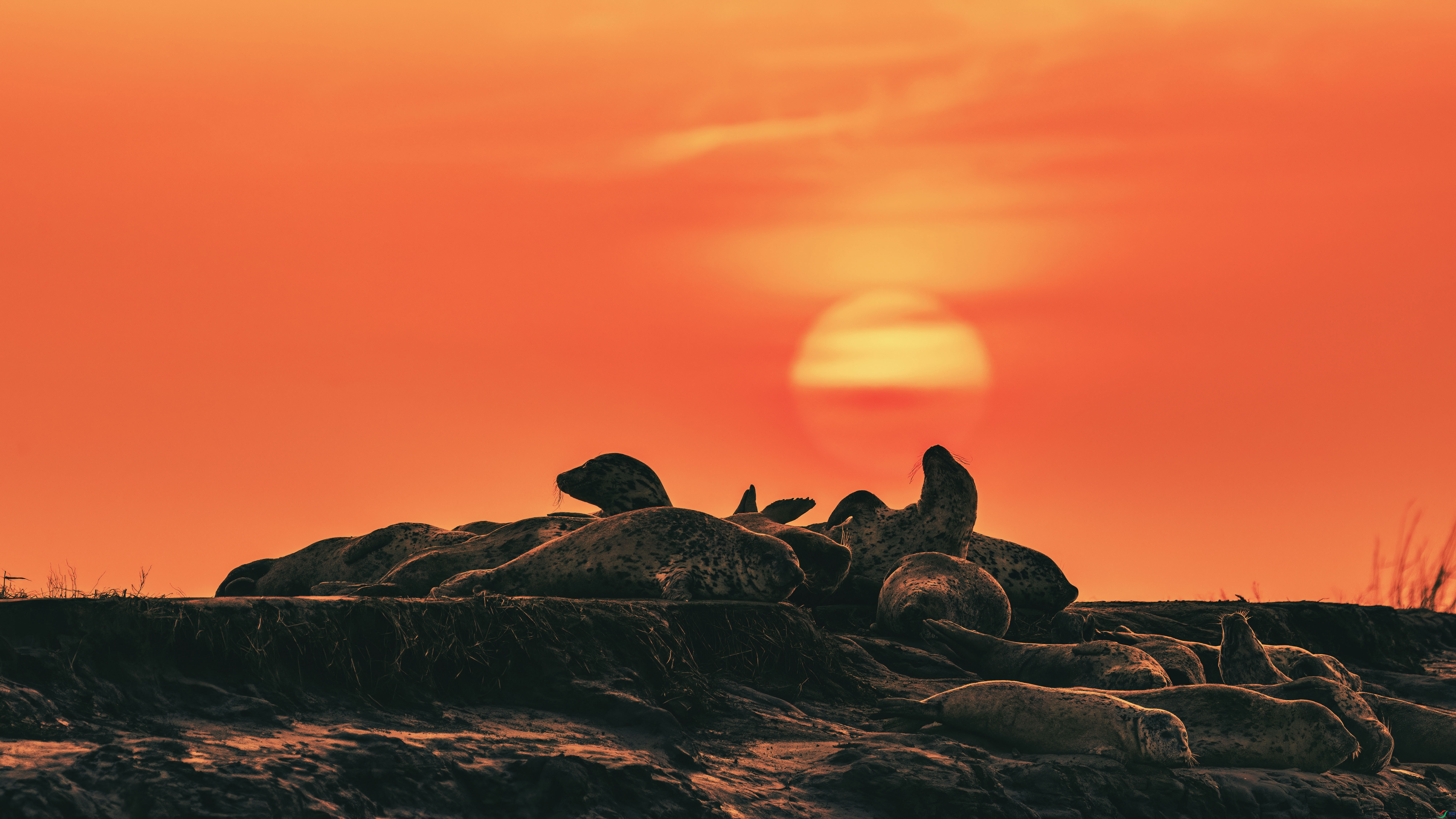 ����������7A0484-�ָ��� (1)_1_1.jpg