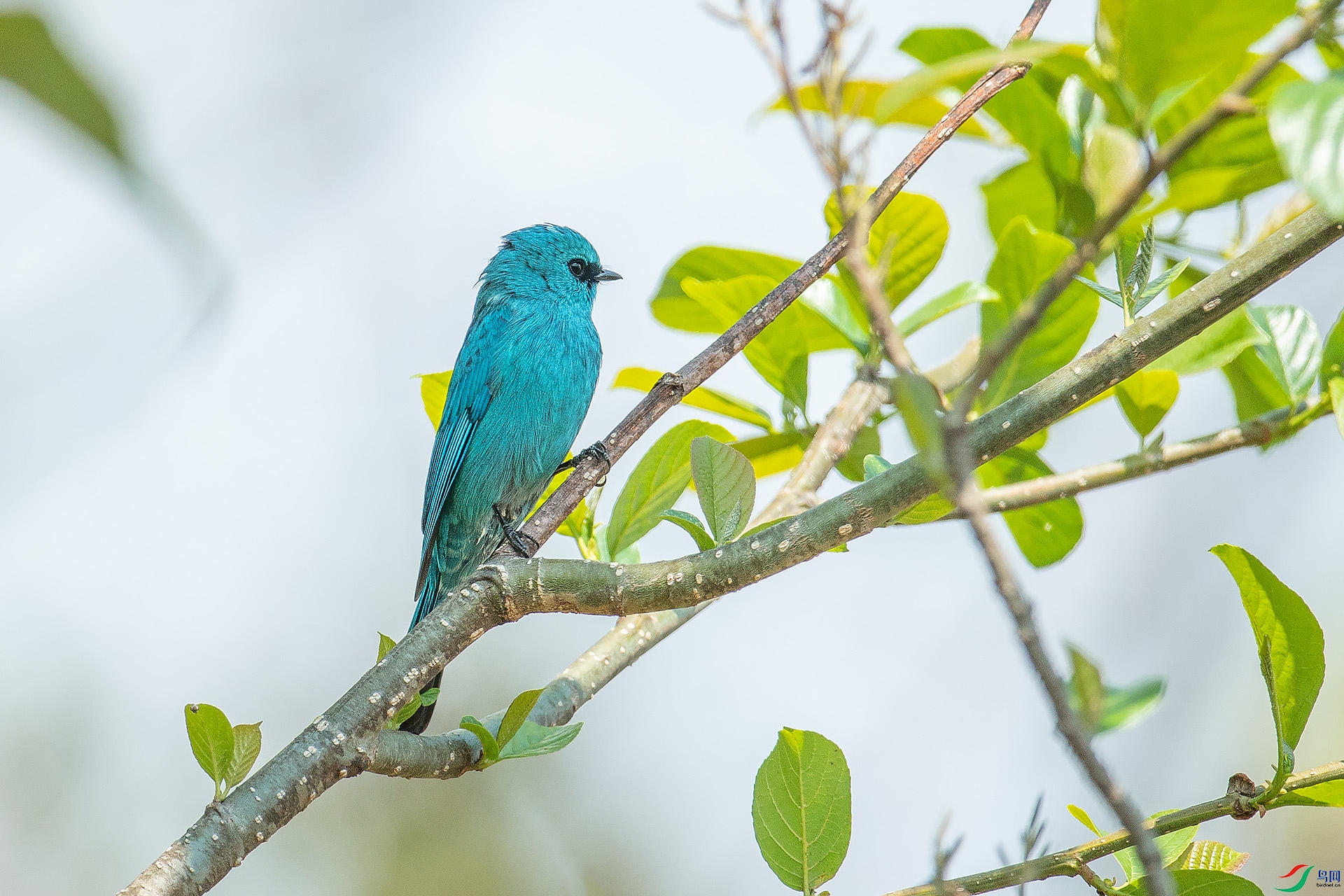DSC_3732.jpg