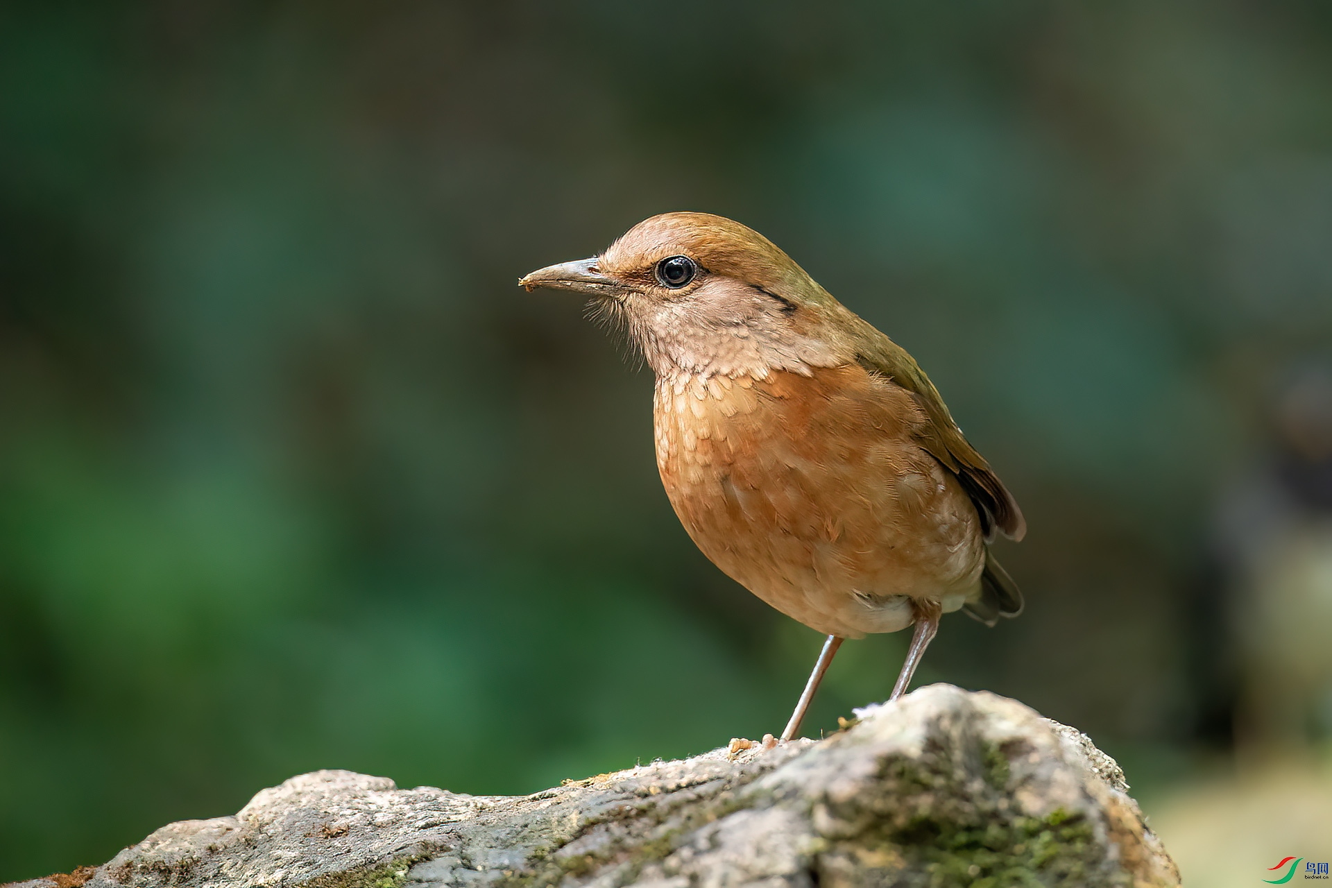 DSC_1400.jpg