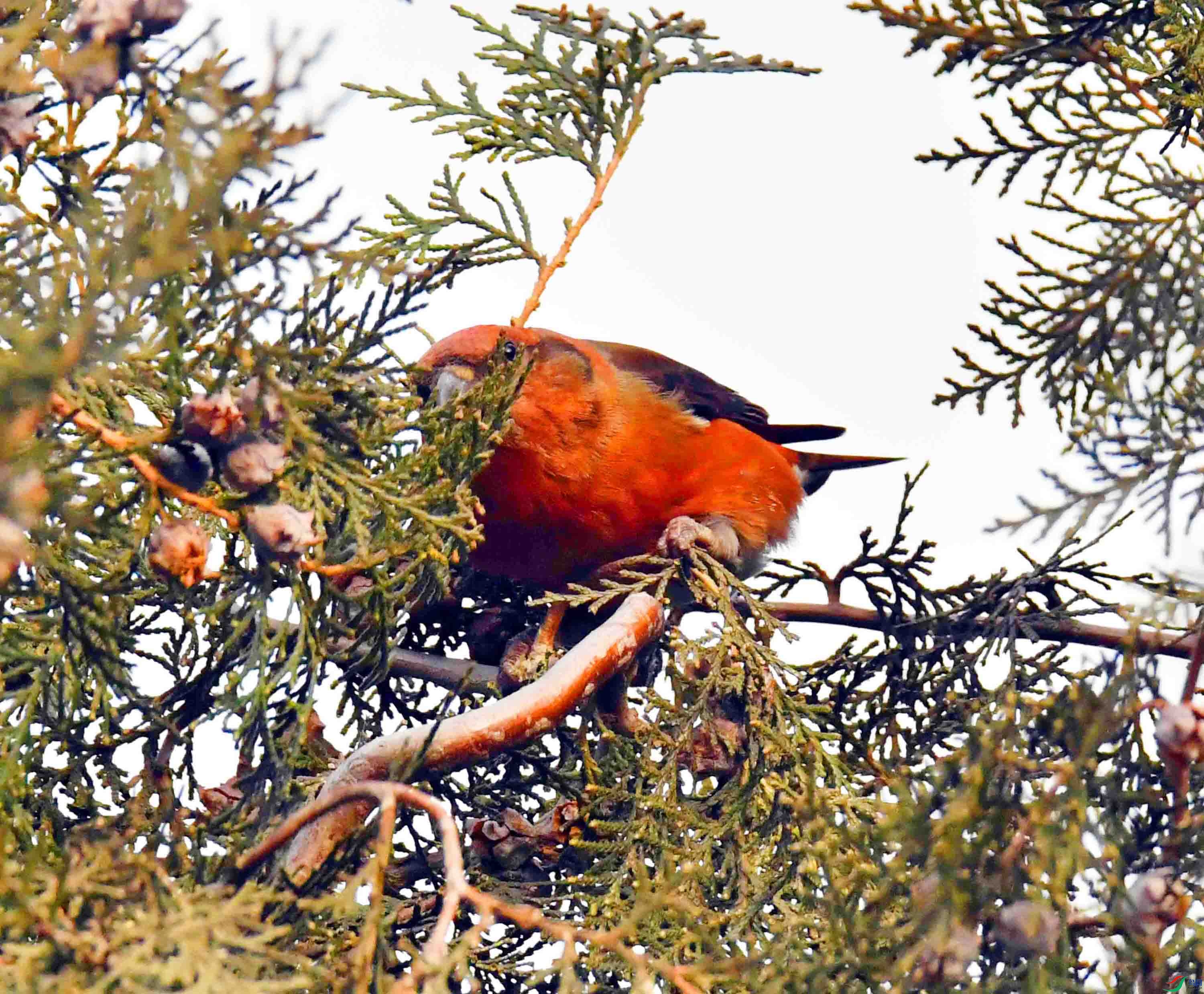 DSC_5032.JPG