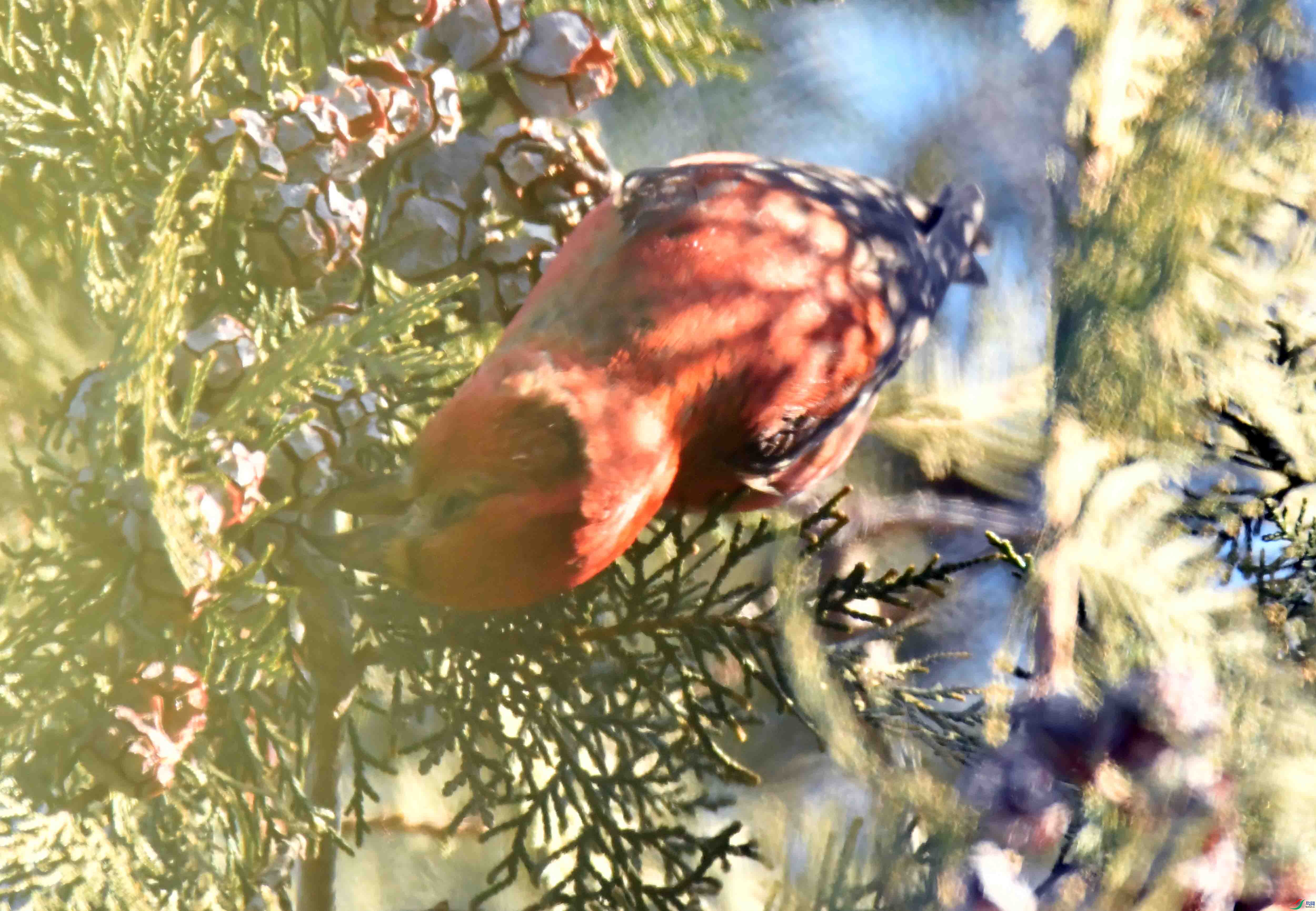 DSC_6928.JPG