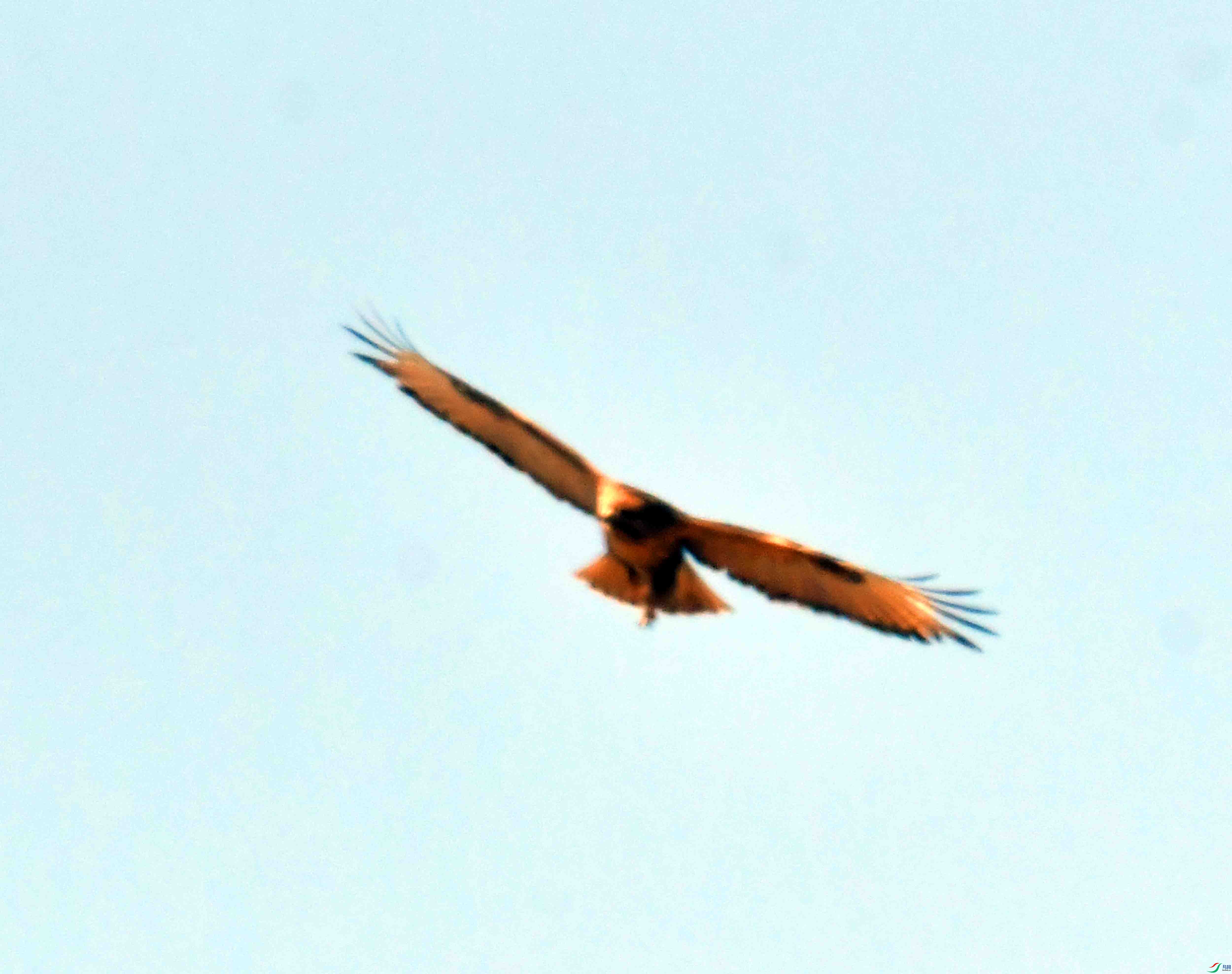 DSC_1235.JPG