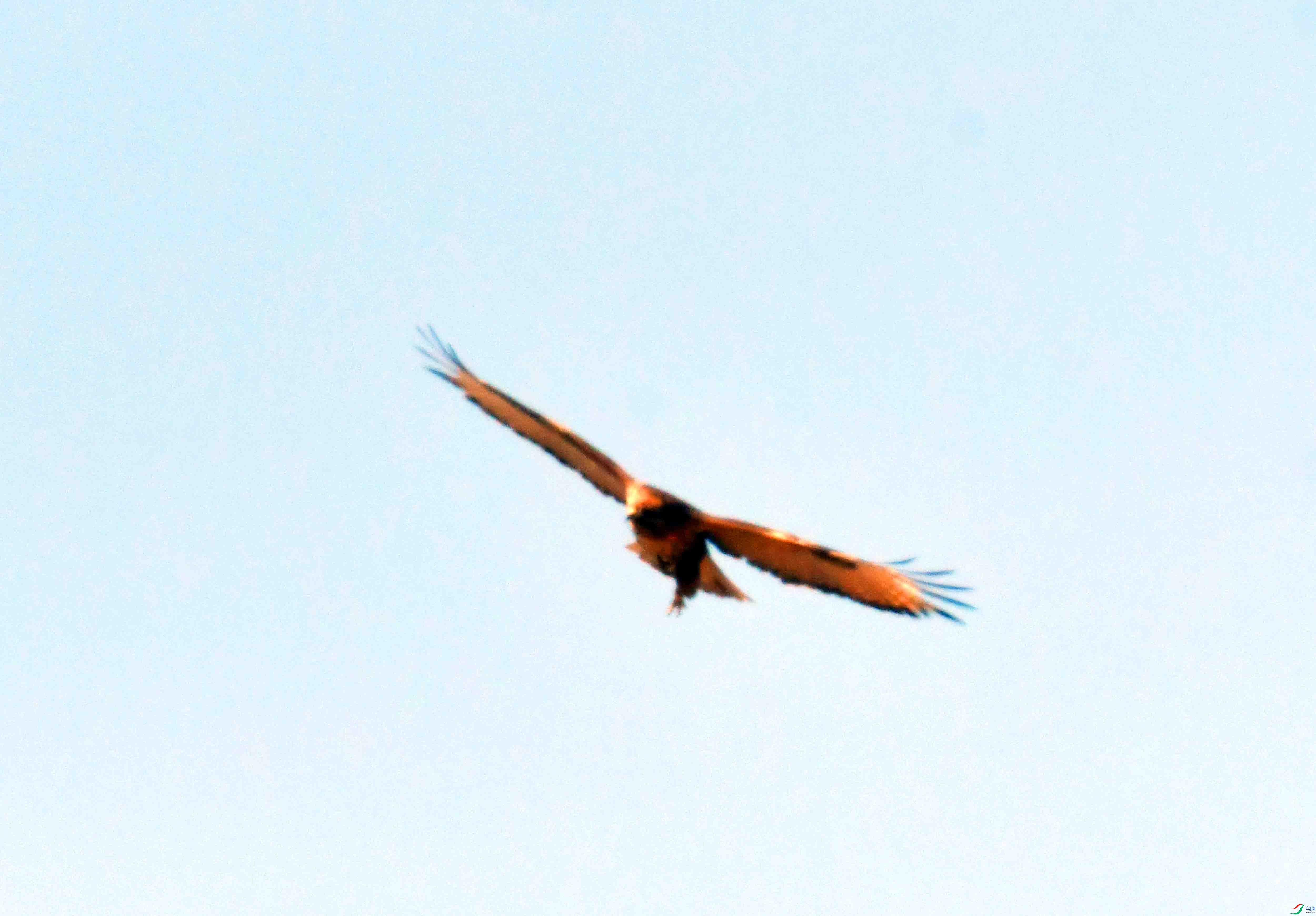 DSC_1234.JPG