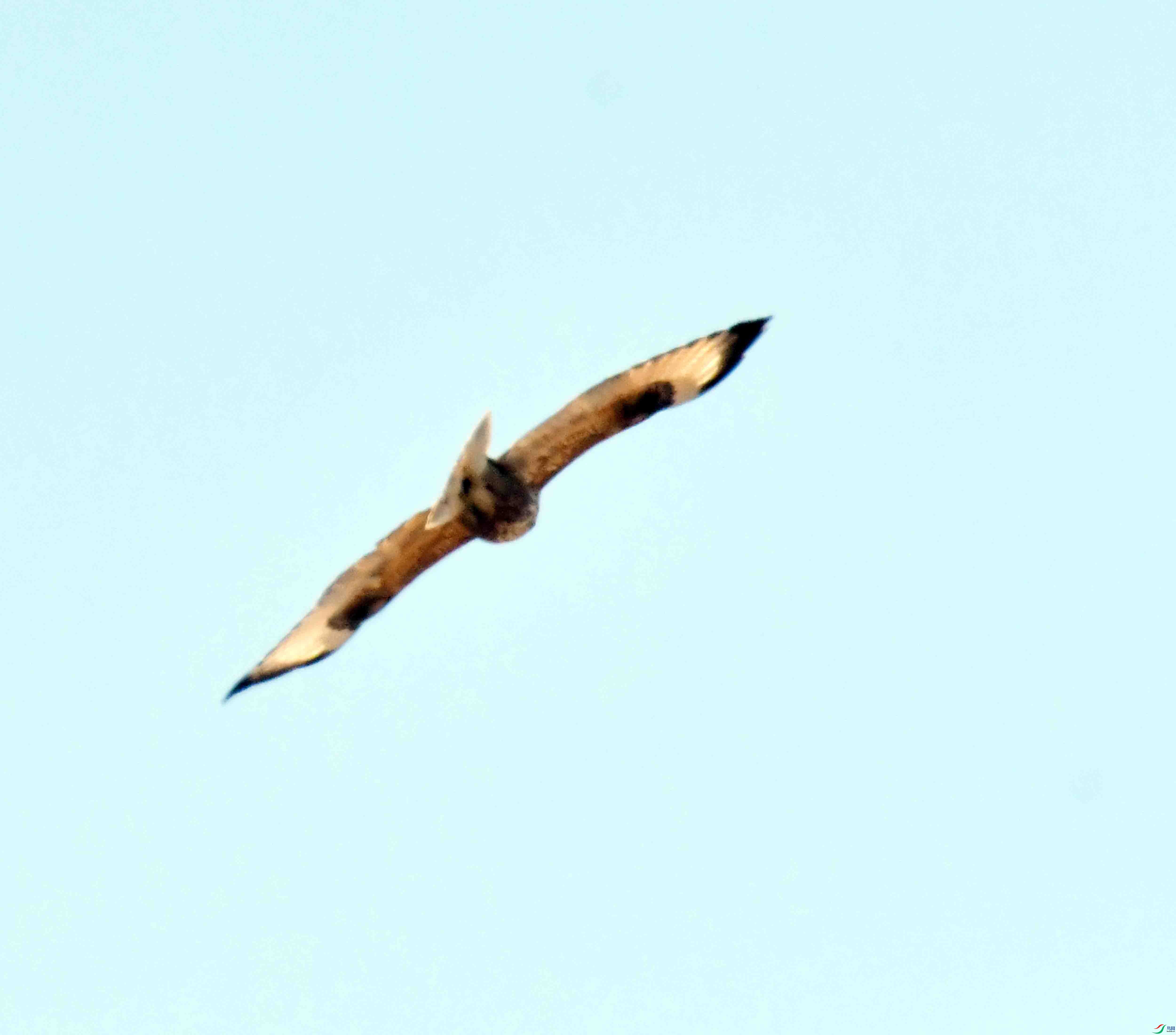 DSC_1227.JPG